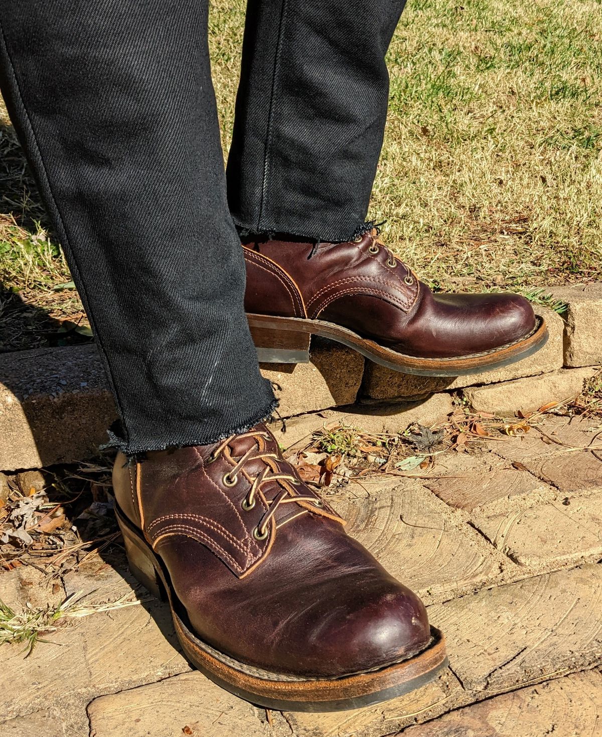 Photo by demo on November 6, 2022 of the Frank's Boots Wilshire in Seidel Brown Domain.