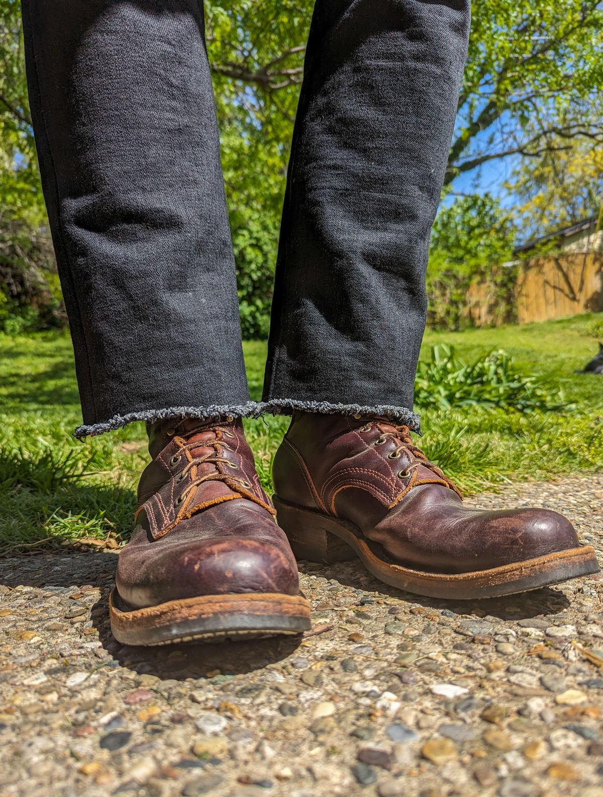 Photo by demo on April 27, 2024 of the Frank's Boots Wilshire in Seidel Brown Domain.