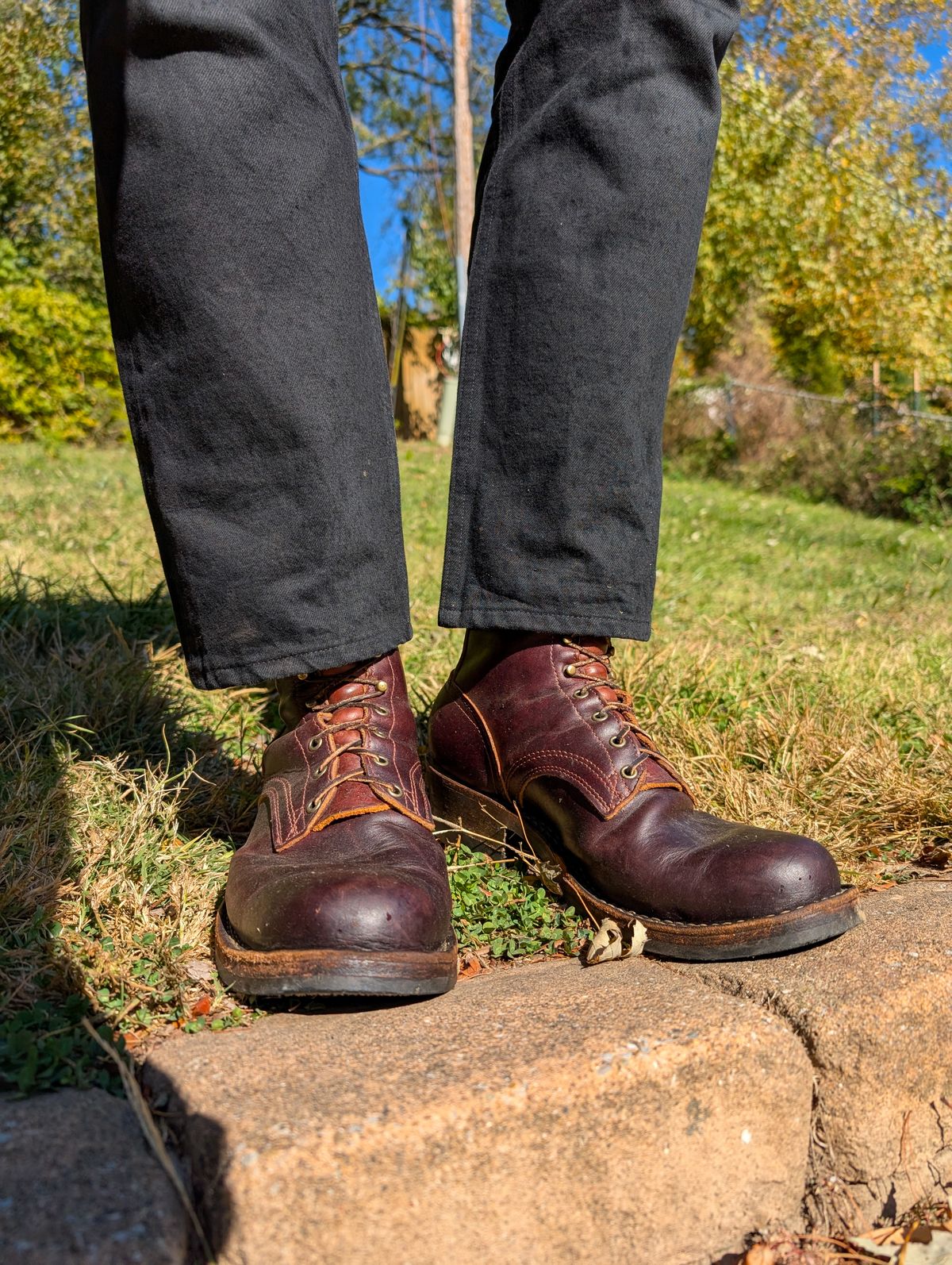 Photo by demo on October 27, 2024 of the Frank's Boots Wilshire in Seidel Brown Domain.