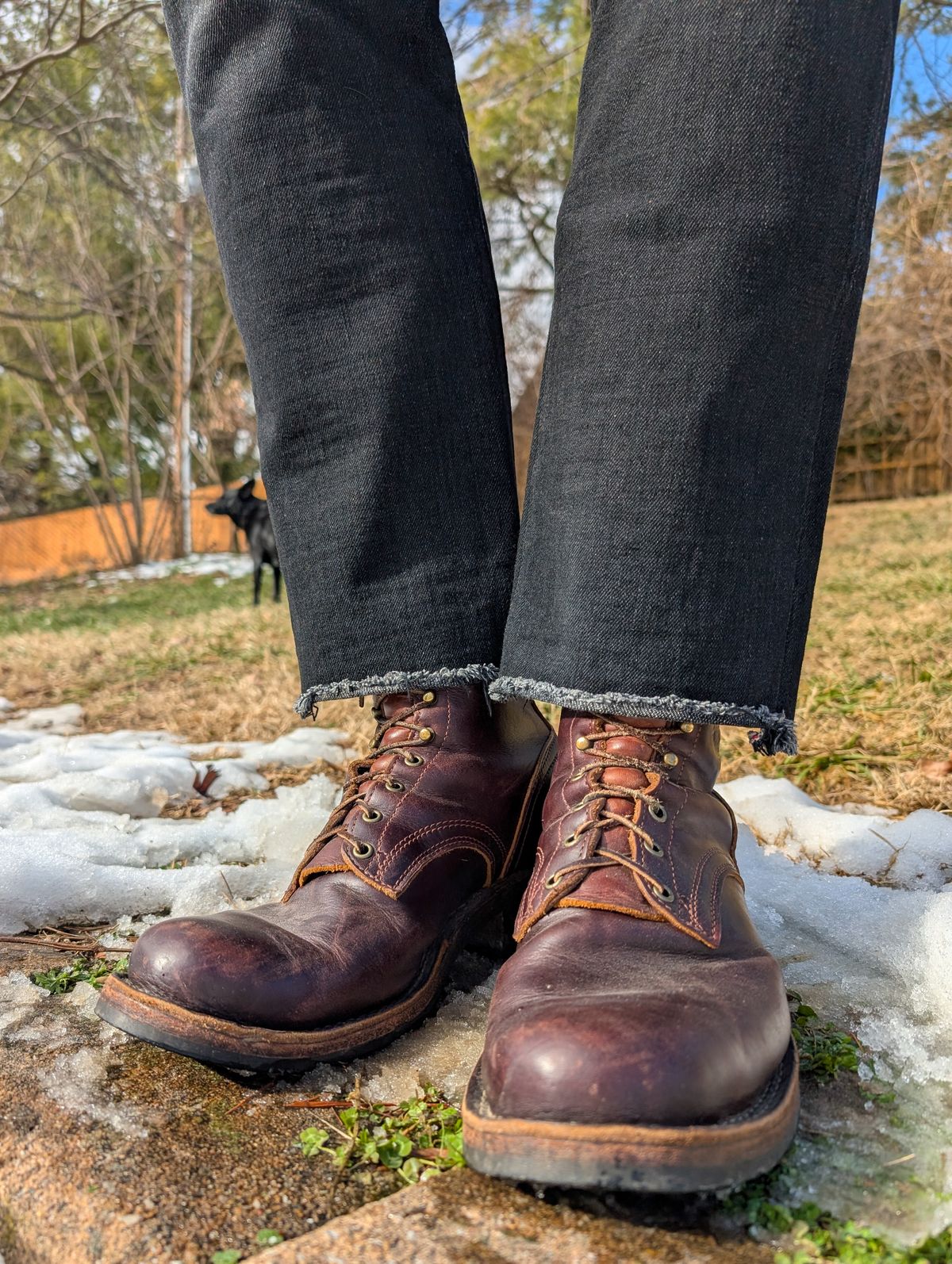 Photo by demo on January 17, 2025 of the Frank's Boots Wilshire in Seidel Brown Domain.