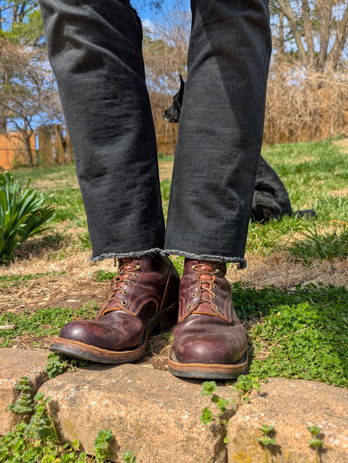 Photo by demo on March 16, 2025 of the Frank's Boots Wilshire in Seidel Brown Domain.