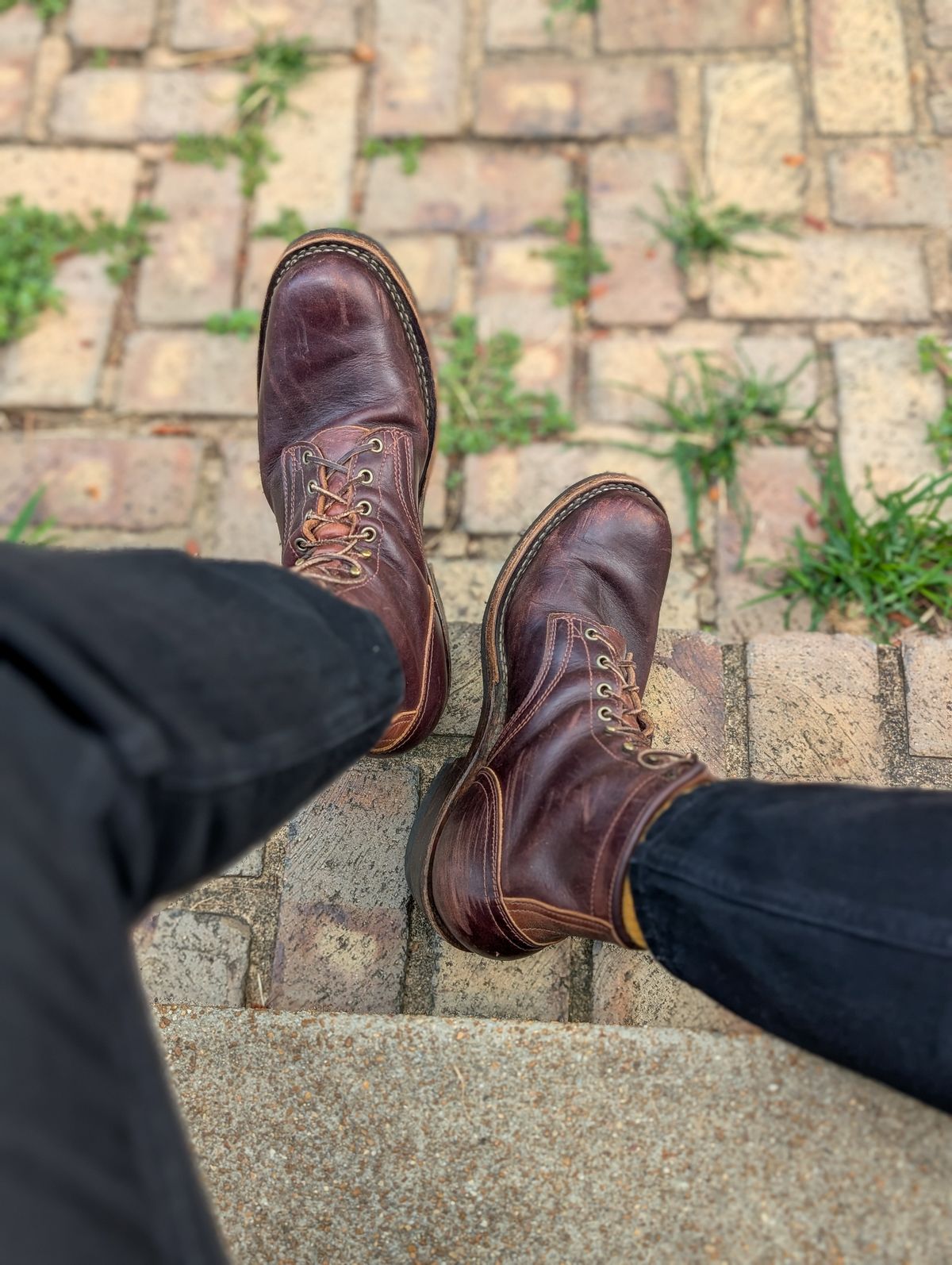 Photo by demo on August 14, 2025 of the Frank's Boots Wilshire in Seidel Brown Domain.