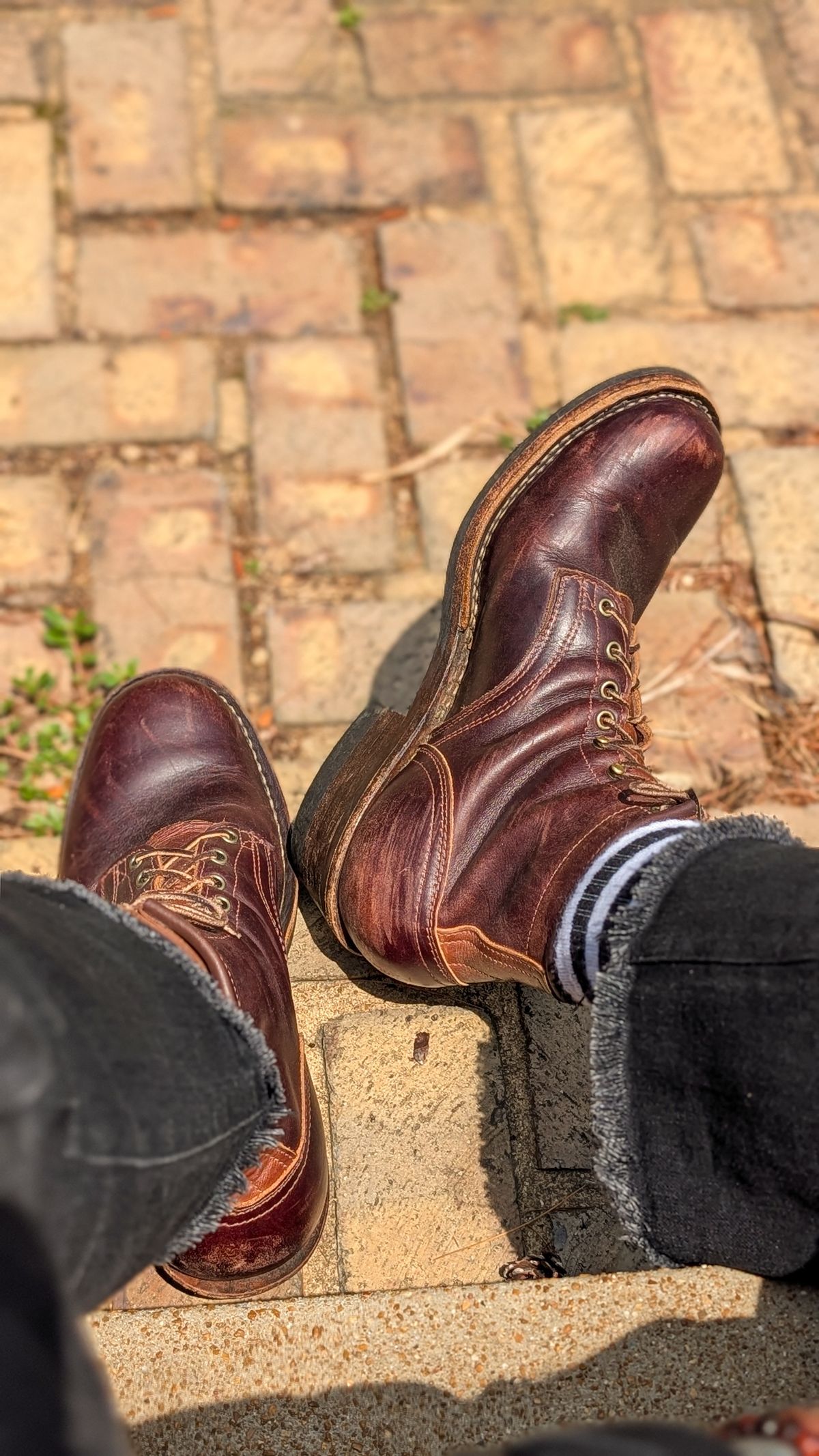 Photo by demo on June 9, 2026 of the Frank's Boots Wilshire in Seidel Brown Domain.