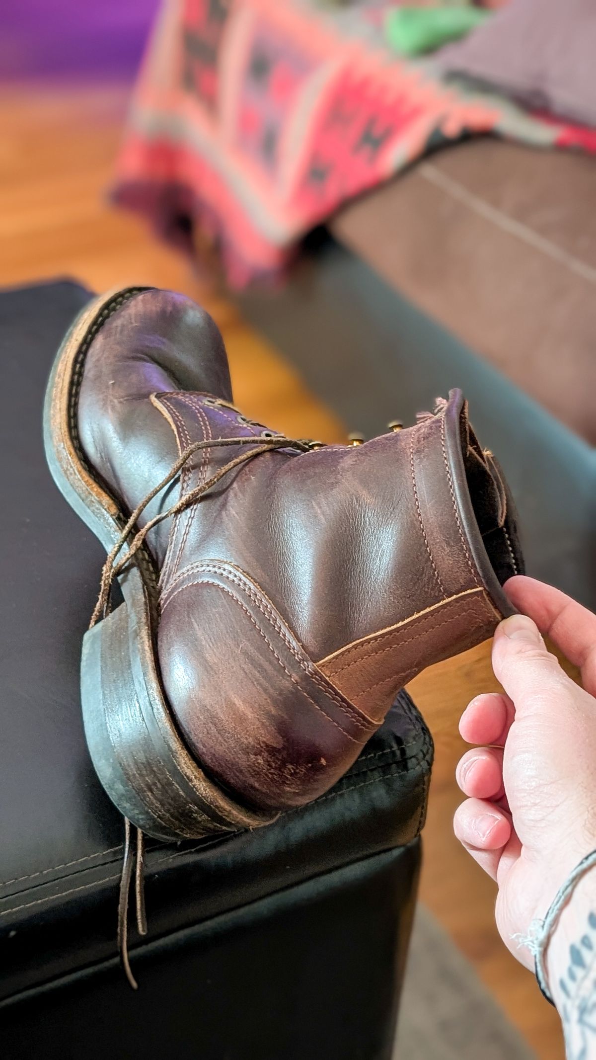 Photo by demo on April 11, 2026 of the Frank's Boots Wilshire in Seidel Brown Domain.