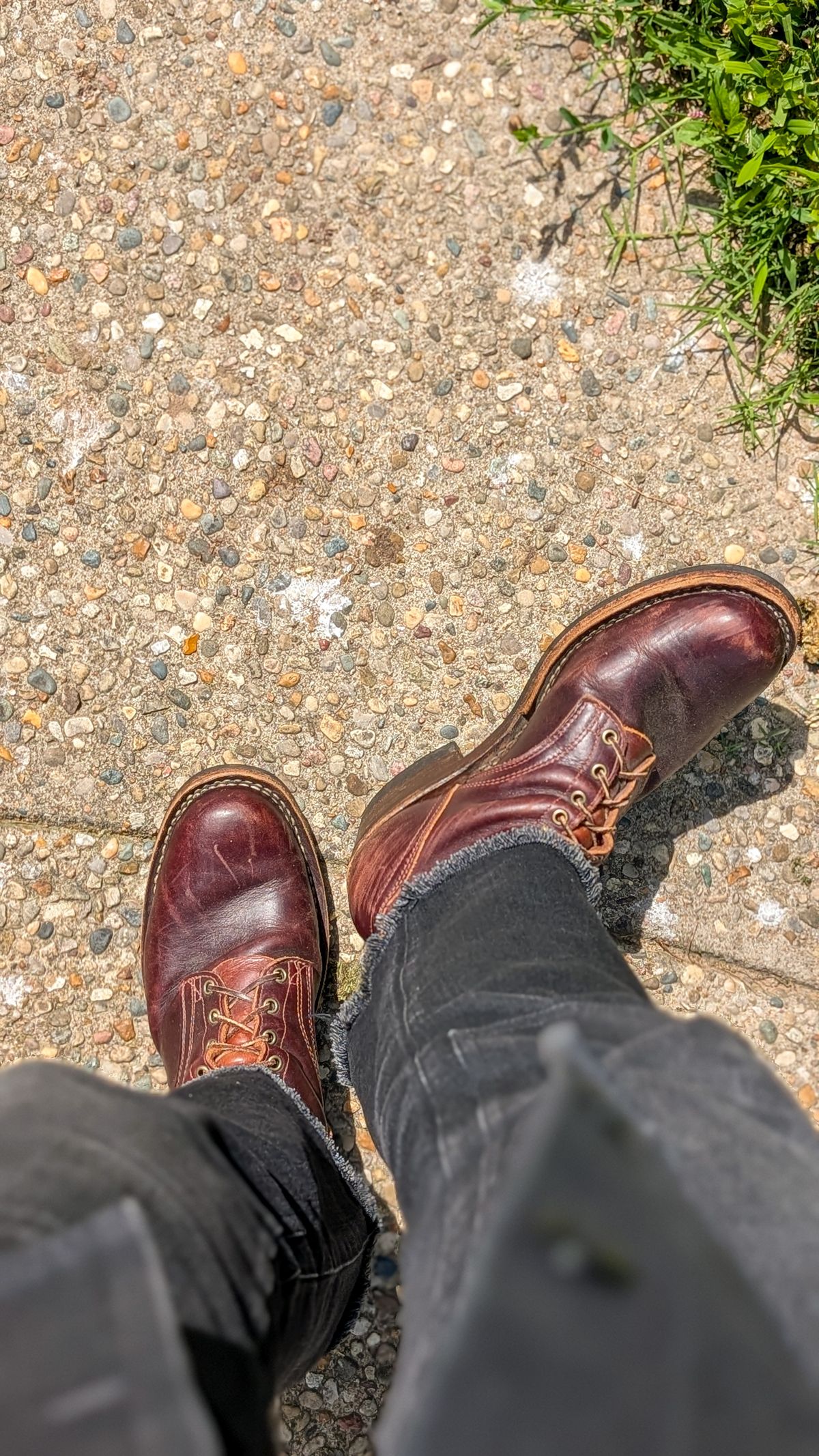 Photo by demo on May 25, 2026 of the Frank's Boots Wilshire in Seidel Brown Domain.