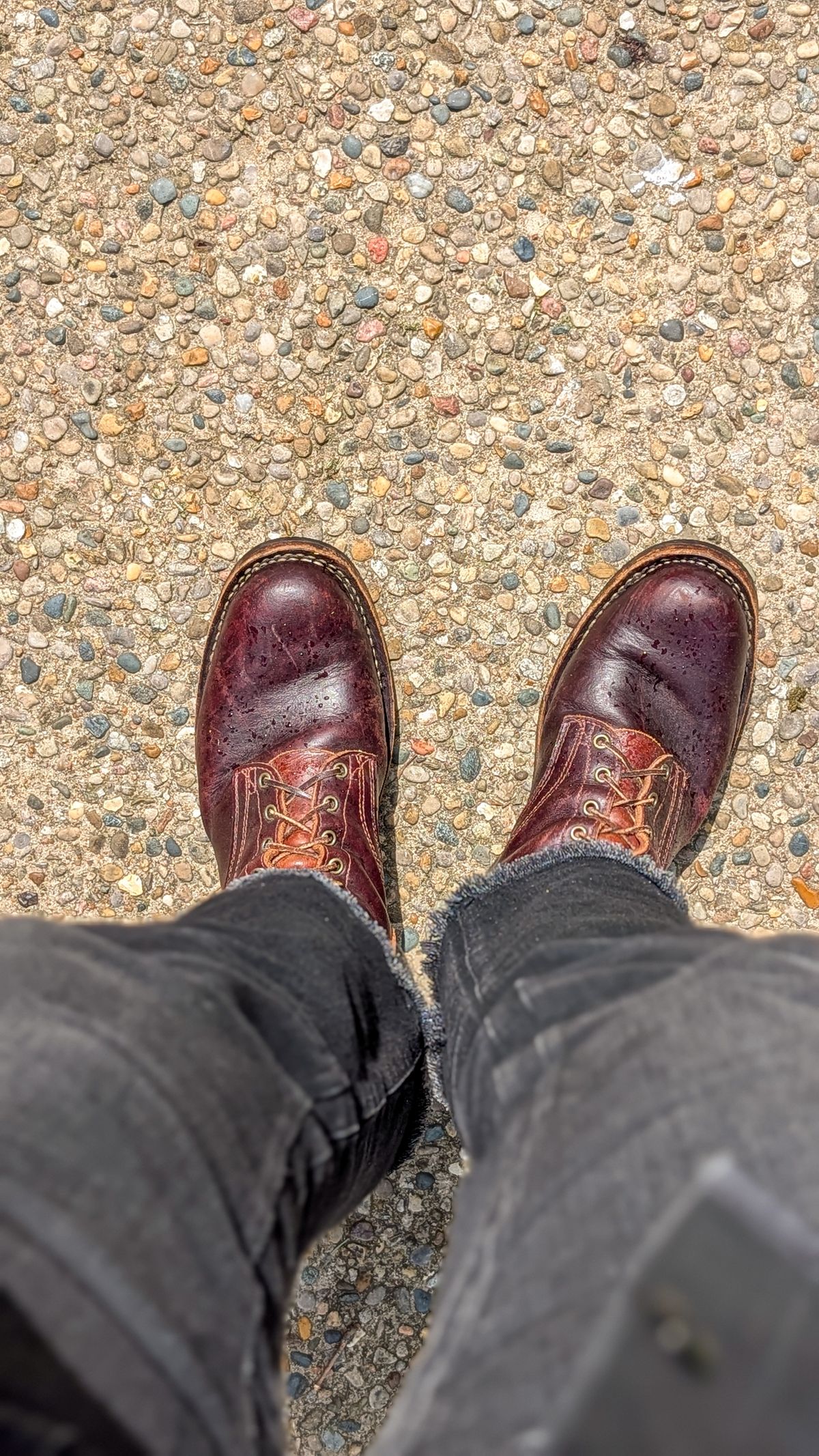 Photo by demo on May 25, 2026 of the Frank's Boots Wilshire in Seidel Brown Domain.