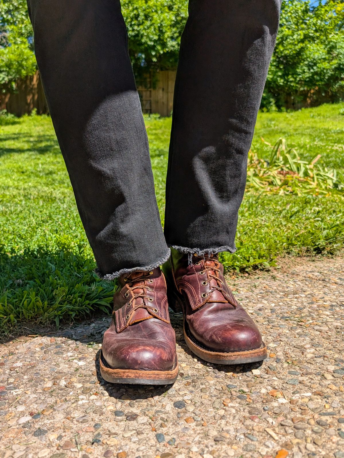 Photo by demo on May 11, 2026 of the Frank's Boots Wilshire in Seidel Brown Domain.