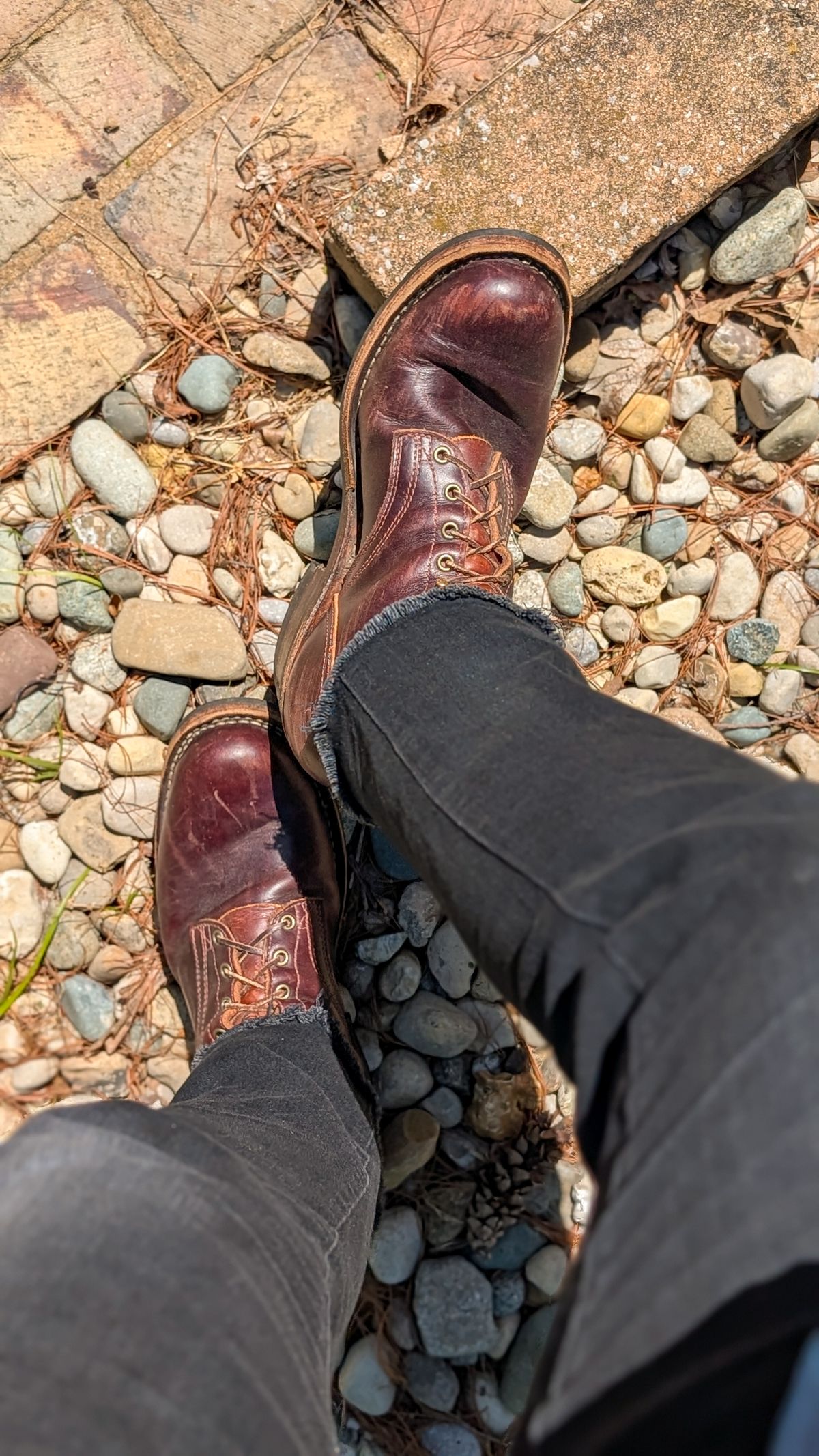 Photo by demo on May 11, 2026 of the Frank's Boots Wilshire in Seidel Brown Domain.