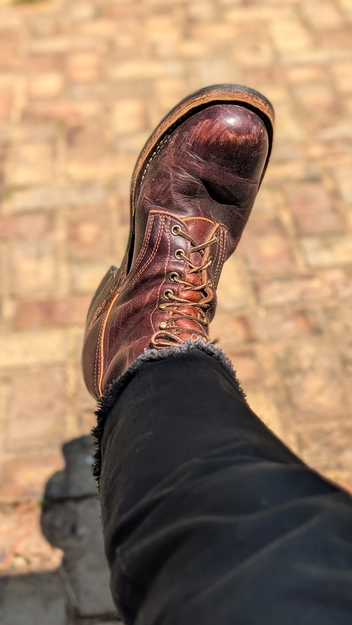 Photo by demo on April 23, 2026 of the Frank's Boots Wilshire in Seidel Brown Domain.