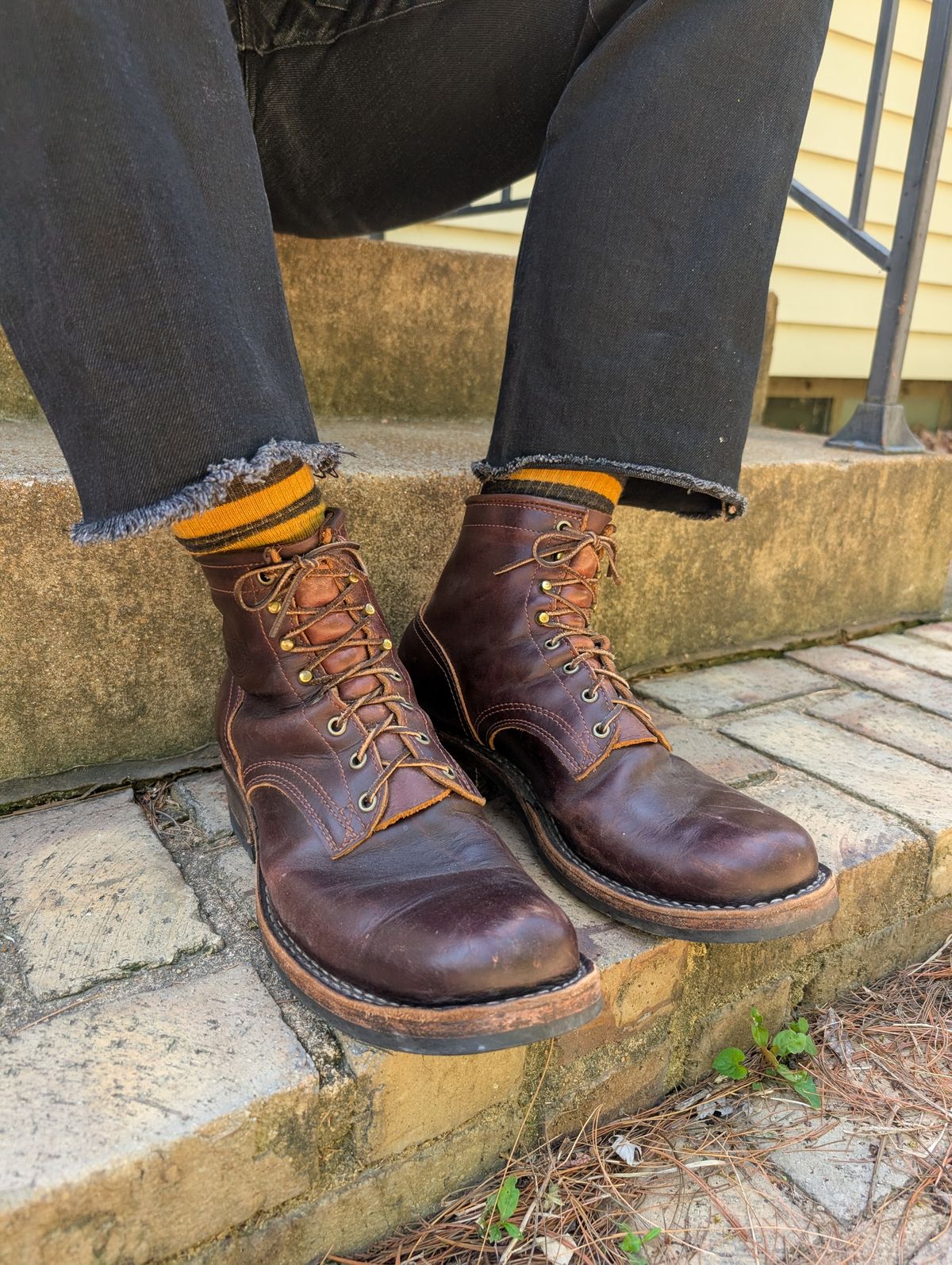 Photo by demo on April 23, 2026 of the Frank's Boots Wilshire in Seidel Brown Domain.