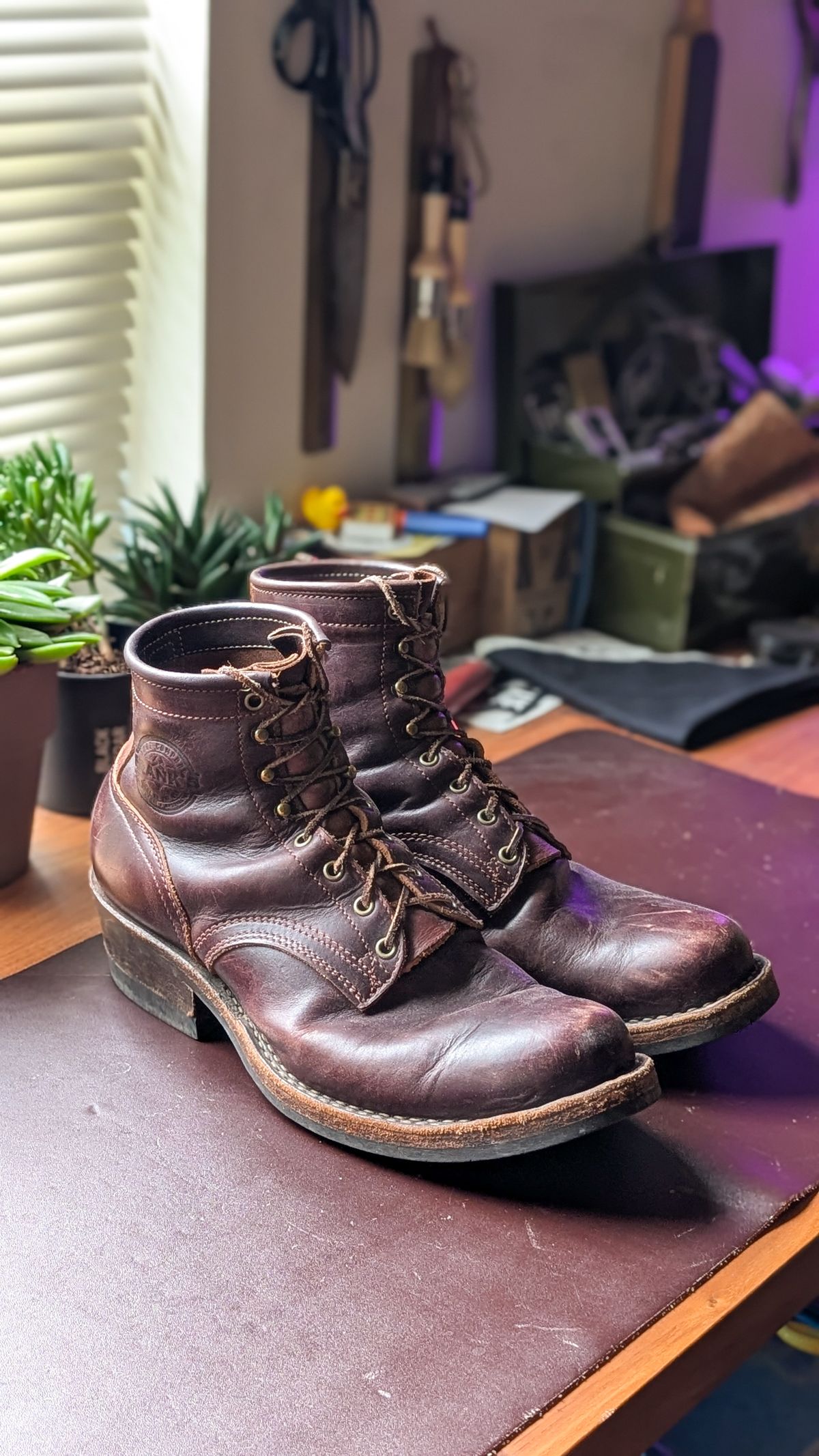 Photo by demo on April 11, 2026 of the Frank's Boots Wilshire in Seidel Brown Domain.