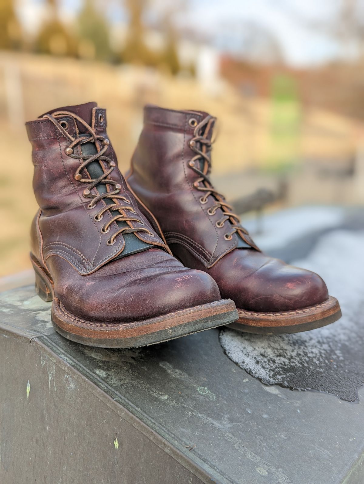 Photo by demo on February 1, 2023 of the White's 350 Cruiser in Horween Burgundy Chromexcel.