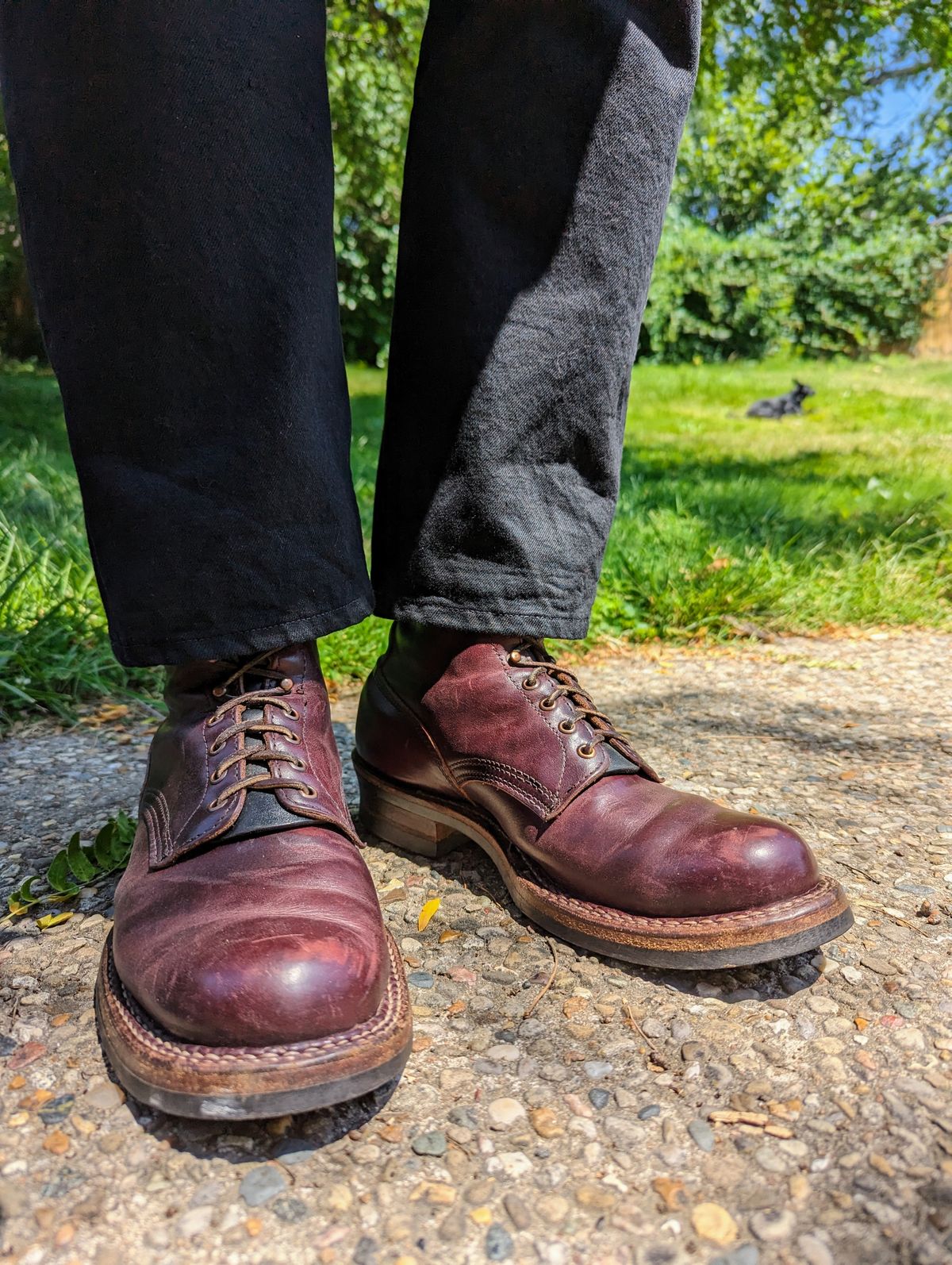 Photo by demo on July 11, 2023 of the White's 350 Cruiser in Horween Burgundy Chromexcel.