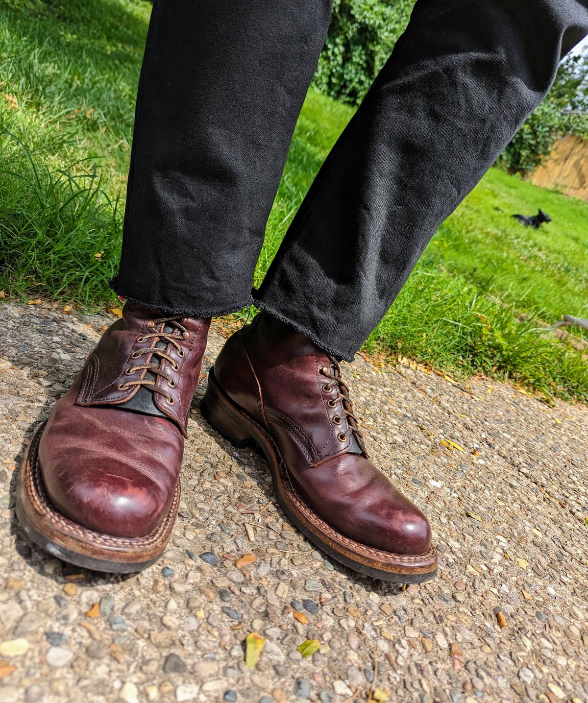 Photo by demo on July 24, 2023 of the White's 350 Cruiser in Horween Burgundy Chromexcel.