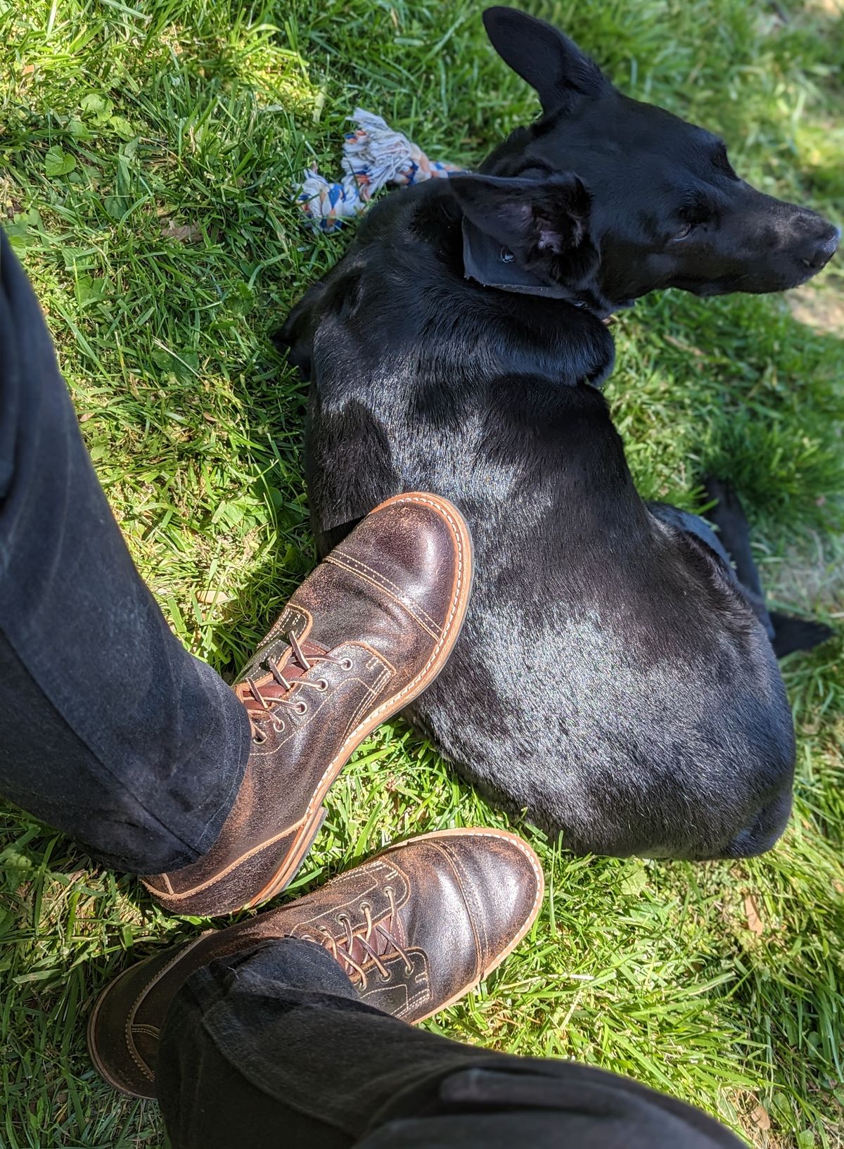 Photo by demo on May 3, 2023 of the Truman Service Boot in Horween Java Waxed Flesh.