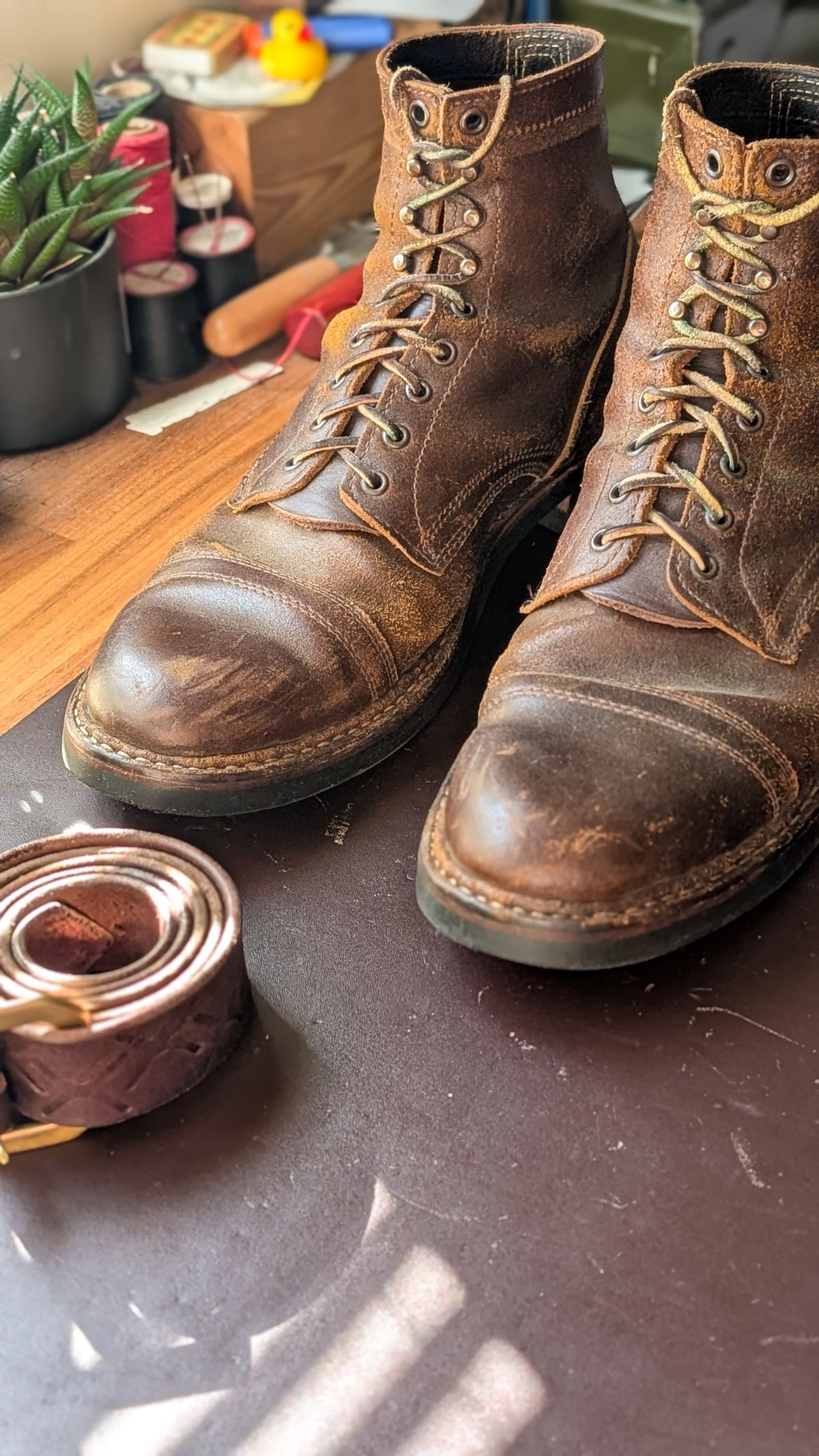 Photo by demo on January 11, 2026 of the White's MP-Sherman Toe Cap in Horween Cinnamon Waxed Flesh.