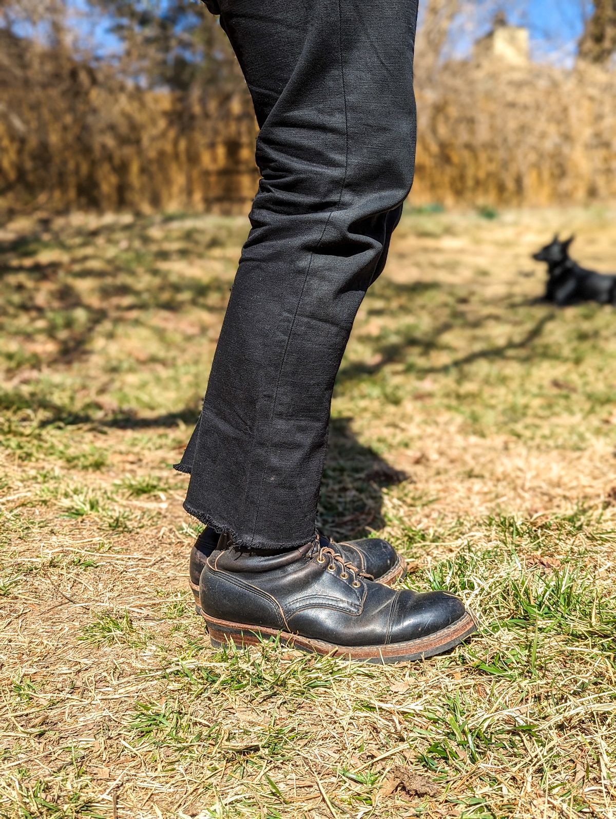 Photo by demo on February 24, 2024 of the White's Bounty Hunter in Horween Black Chromexcel.
