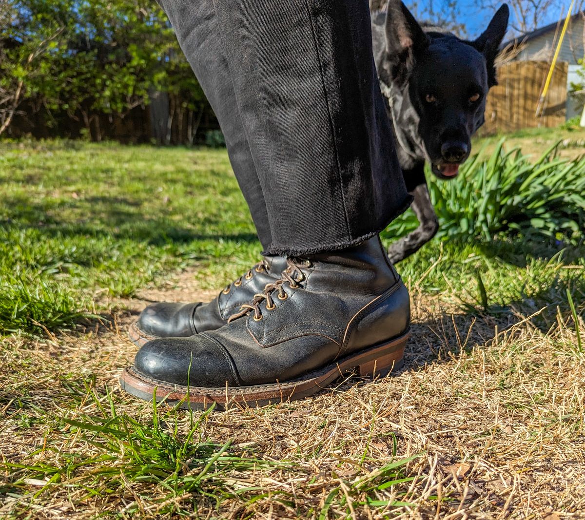 Photo by demo on March 20, 2024 of the White's Bounty Hunter in Horween Black Chromexcel.