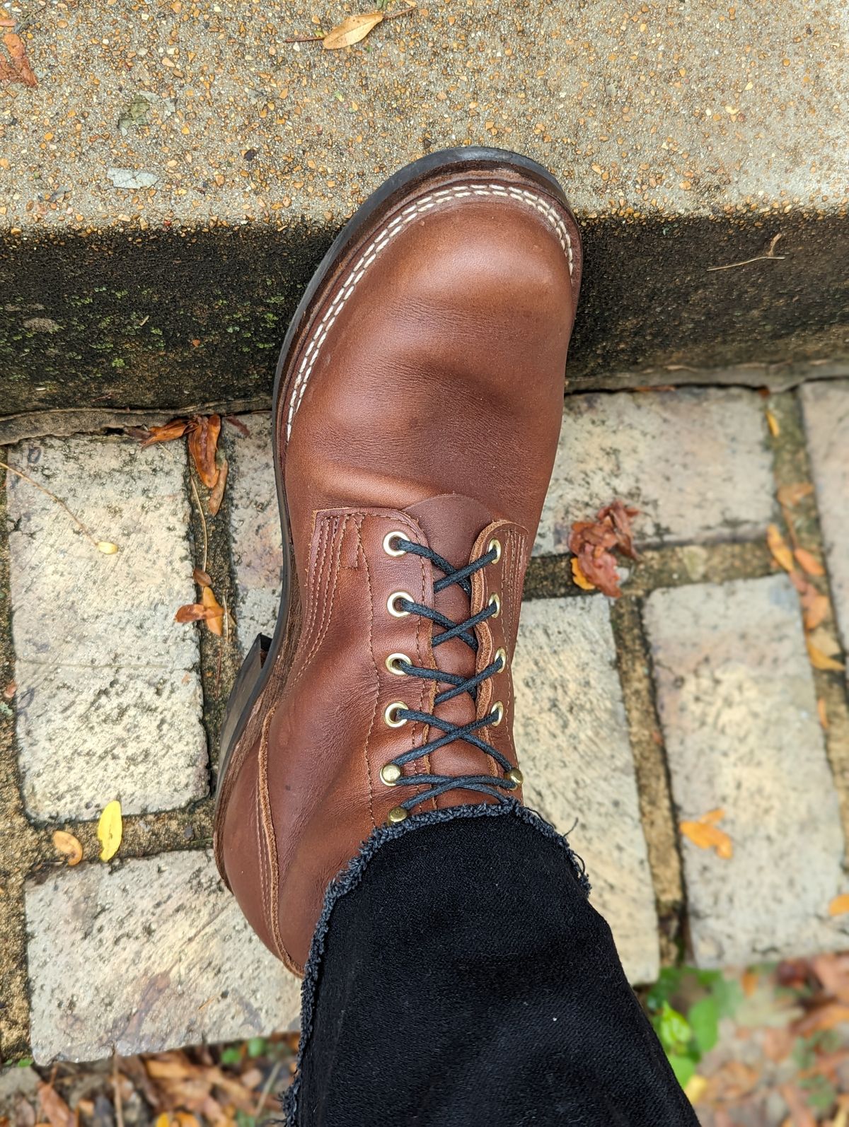 Photo by demo on October 4, 2023 of the Nicks Robert in Seidel 1964 Brown.