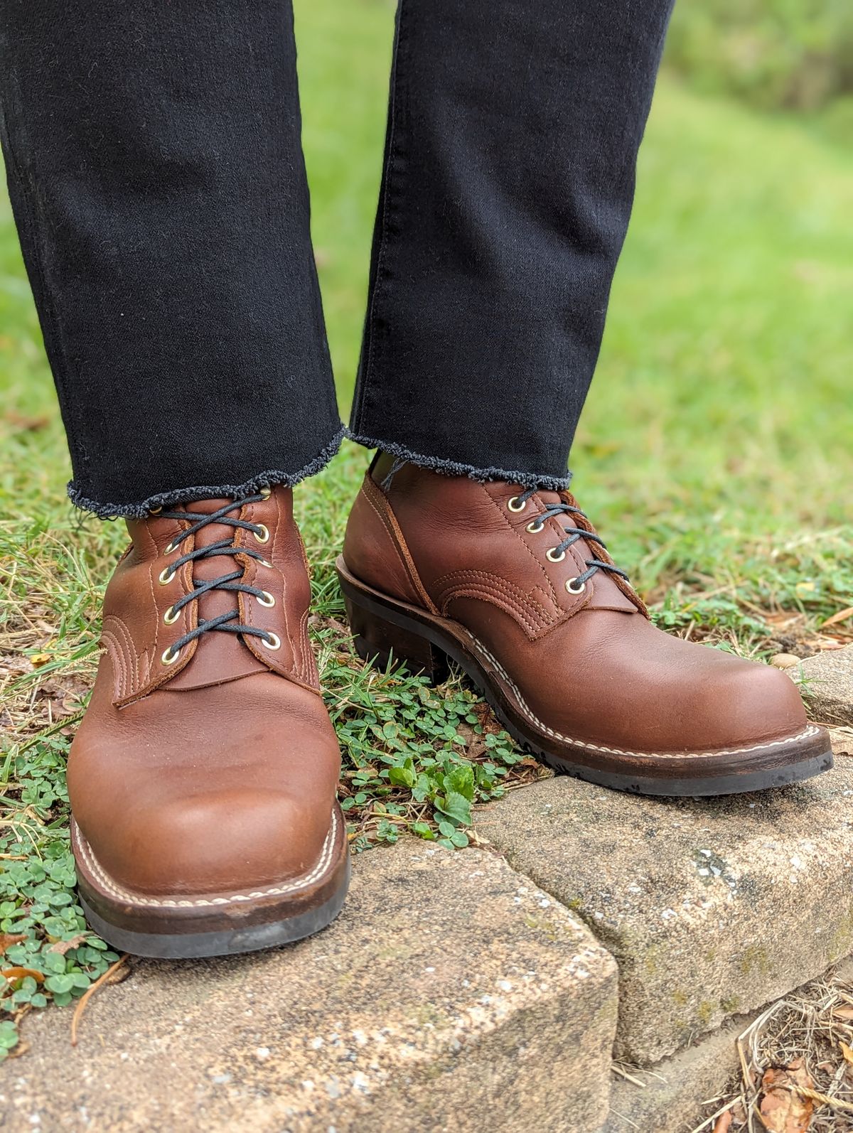 Photo by demo on October 4, 2023 of the Nicks Robert in Seidel 1964 Brown.