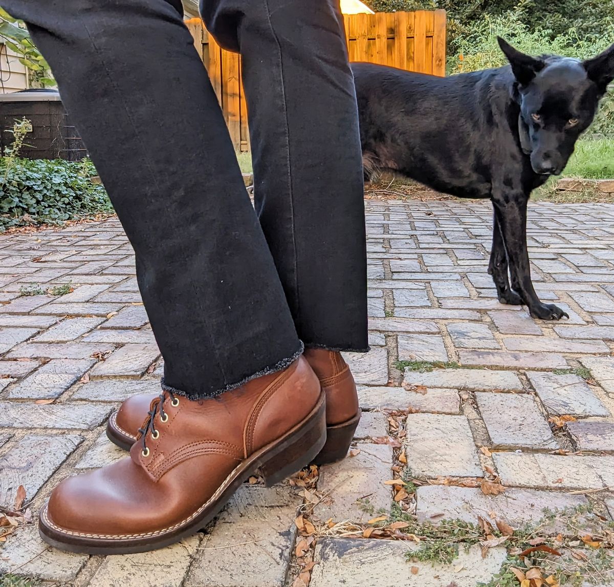 Photo by demo on October 2, 2023 of the Nicks Robert in Seidel 1964 Brown.