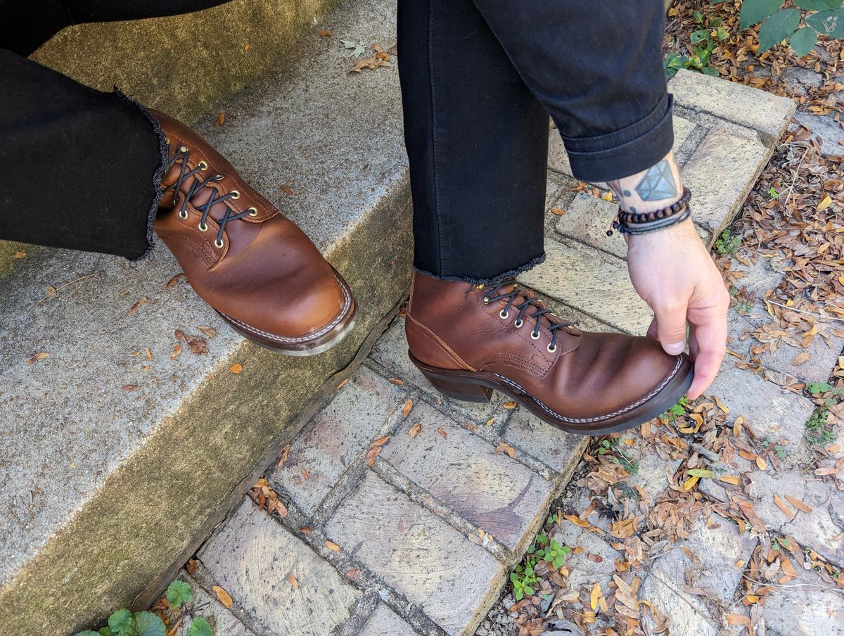 Photo by demo on October 2, 2023 of the Nicks Robert in Seidel 1964 Brown.