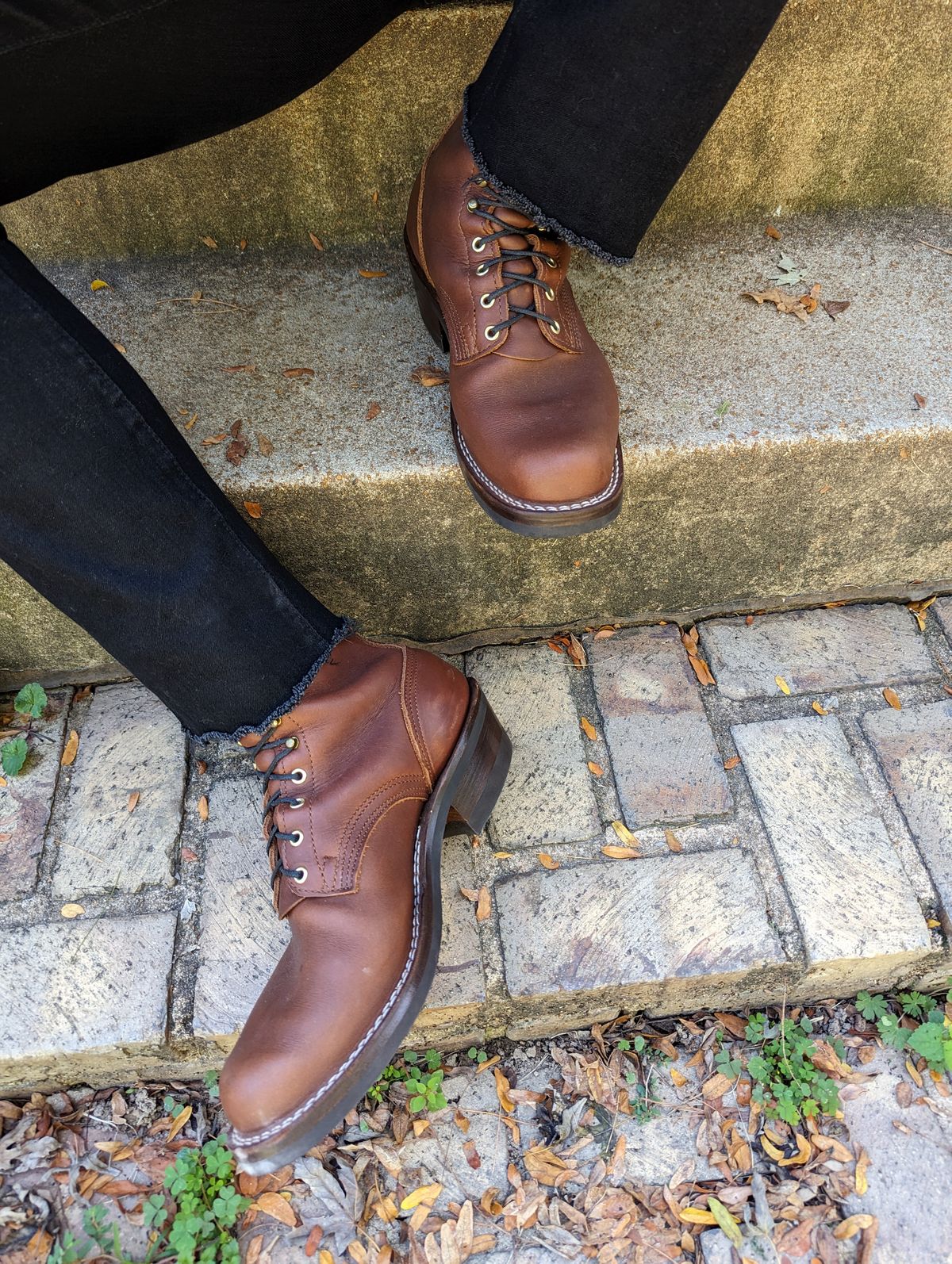 Photo by demo on October 2, 2023 of the Nicks Robert in Seidel 1964 Brown.