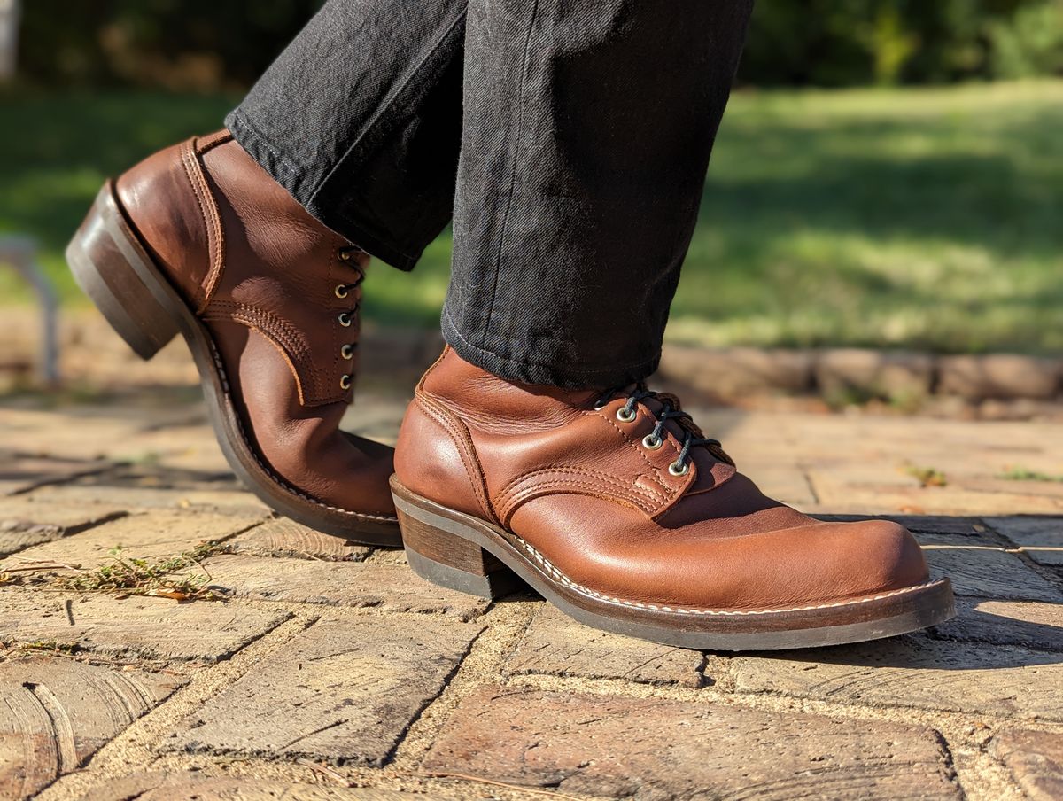 Photo by demo on October 1, 2023 of the Nicks Robert in Seidel 1964 Brown.