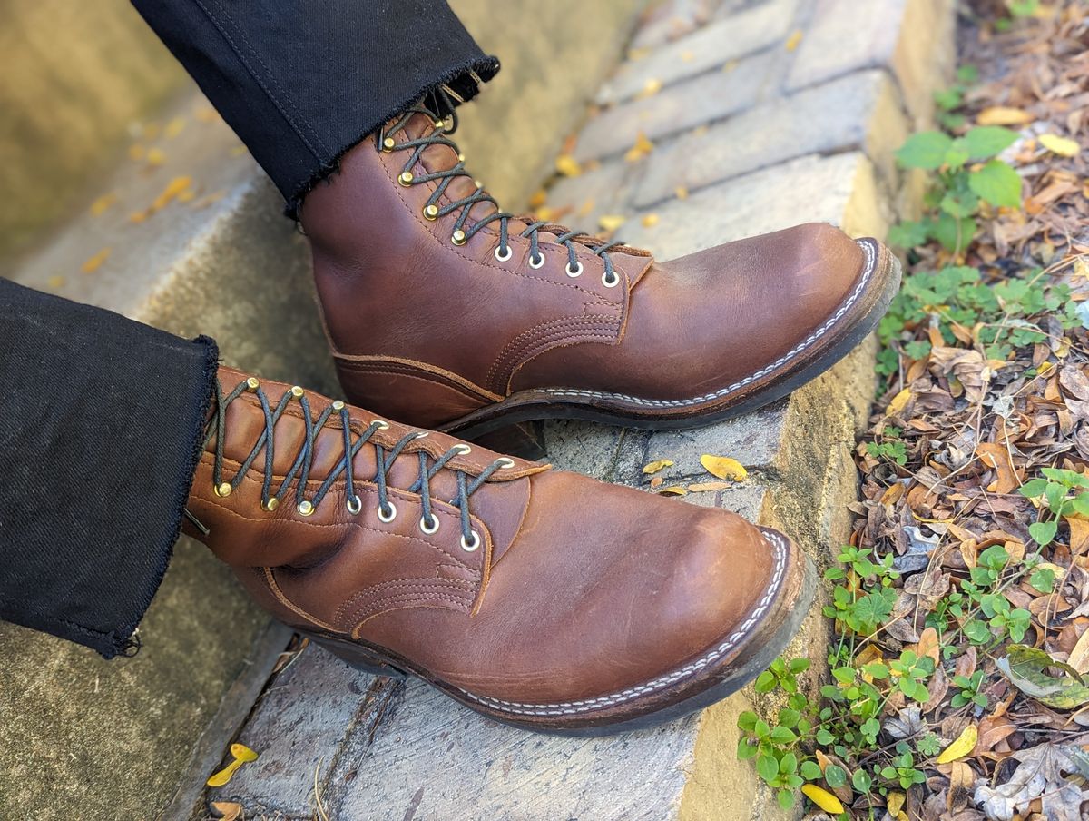 Photo by demo on October 22, 2023 of the Nicks Robert in Seidel 1964 Brown.
