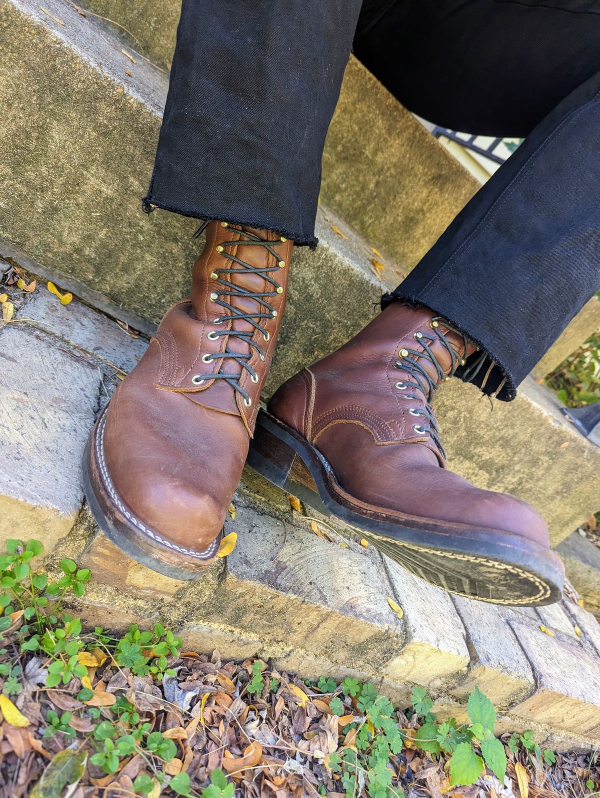Photo by demo on October 22, 2023 of the Nicks Robert in Seidel 1964 Brown.