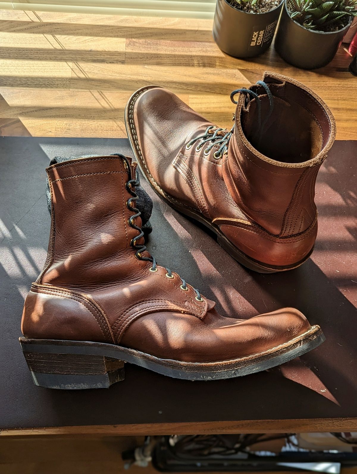 Photo by demo on January 16, 2024 of the Nicks Robert in Seidel 1964 Brown.