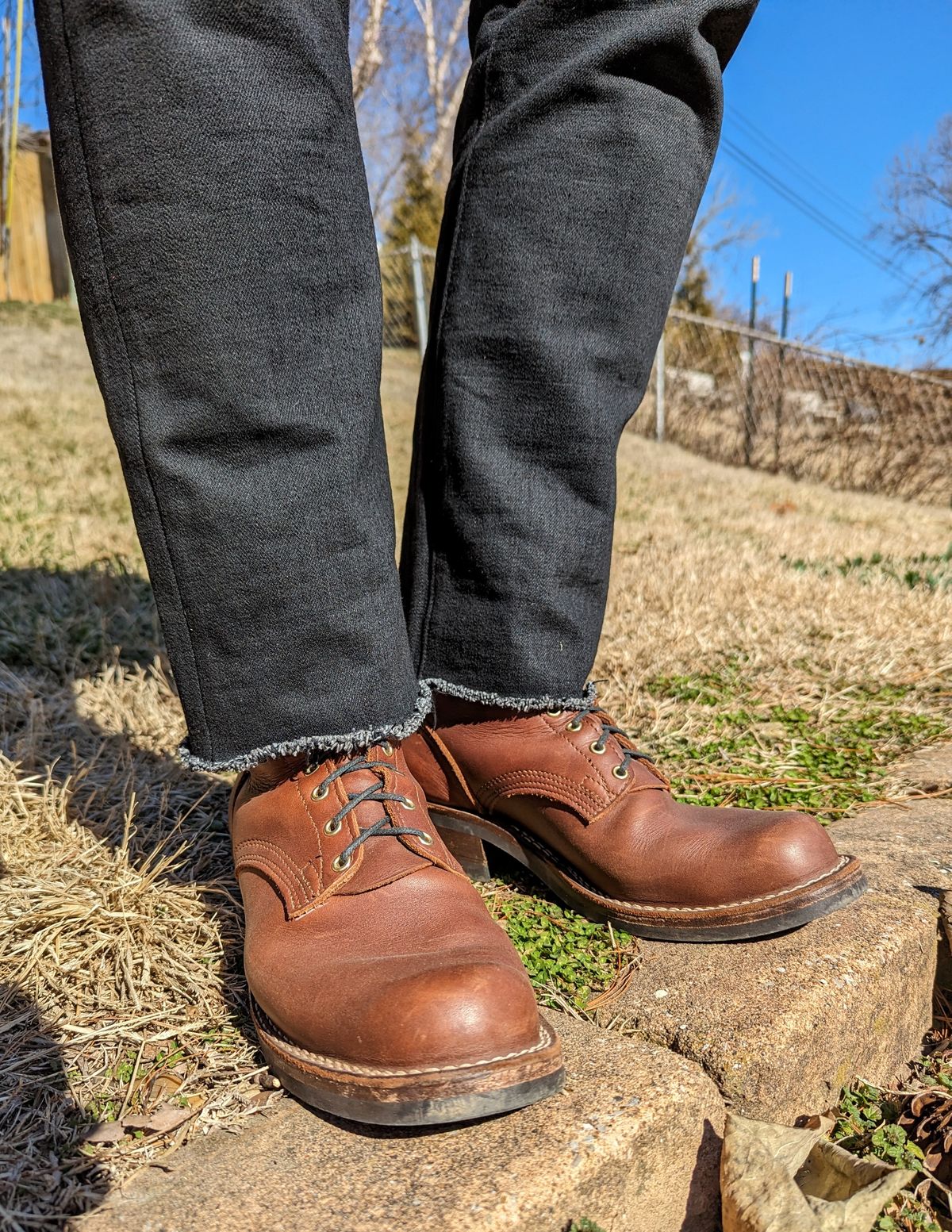 Photo by demo on February 15, 2024 of the Nicks Robert in Seidel 1964 Brown.