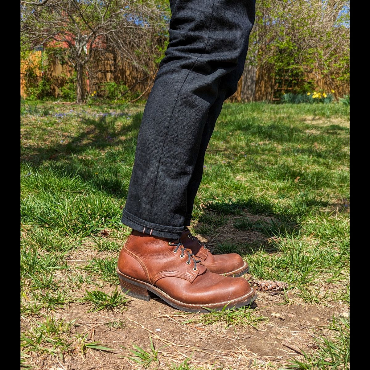 Photo by demo on March 18, 2024 of the Nicks Robert in Seidel 1964 Brown.