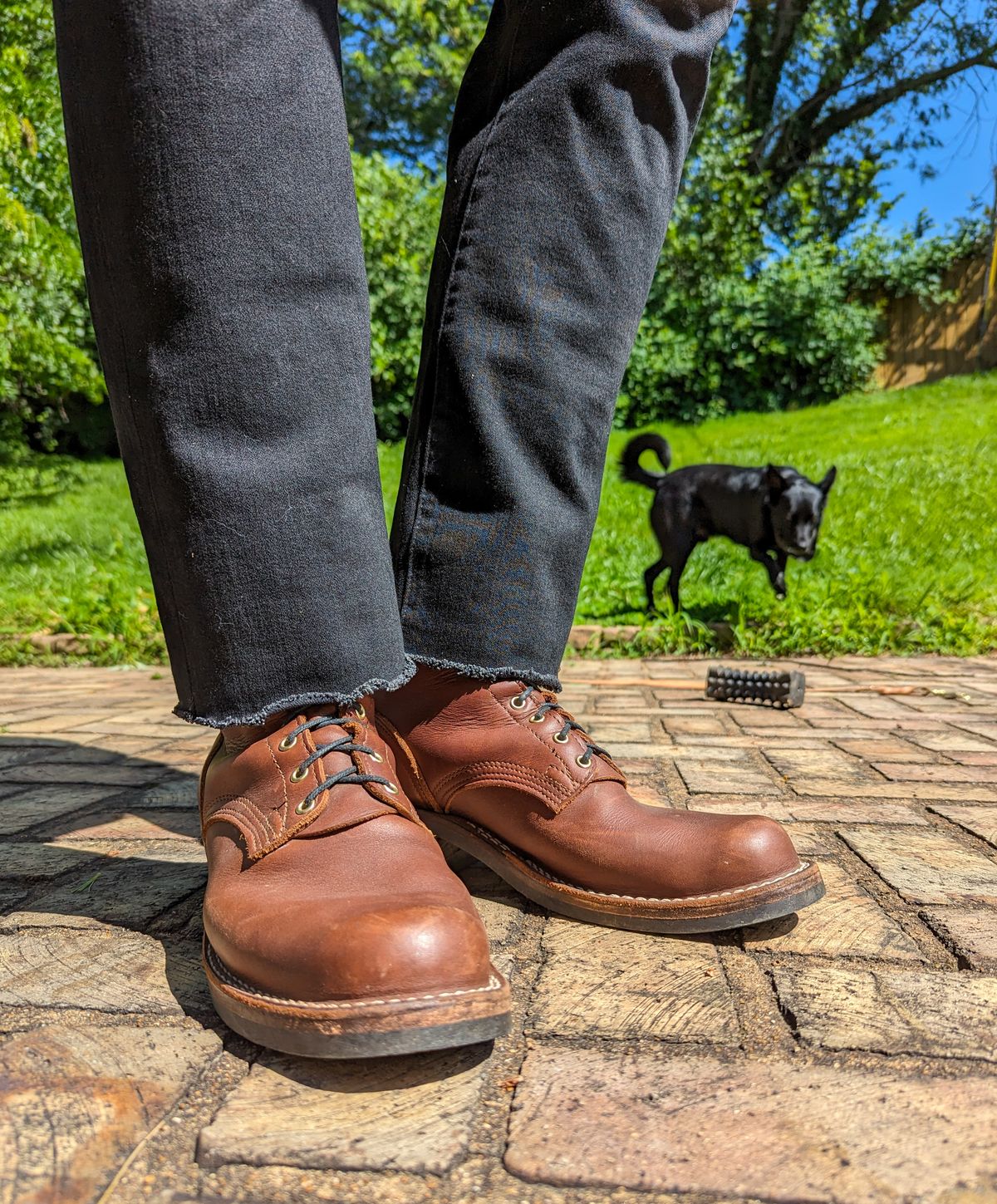 Photo by demo on May 27, 2024 of the Nicks Robert in Seidel 1964 Brown.
