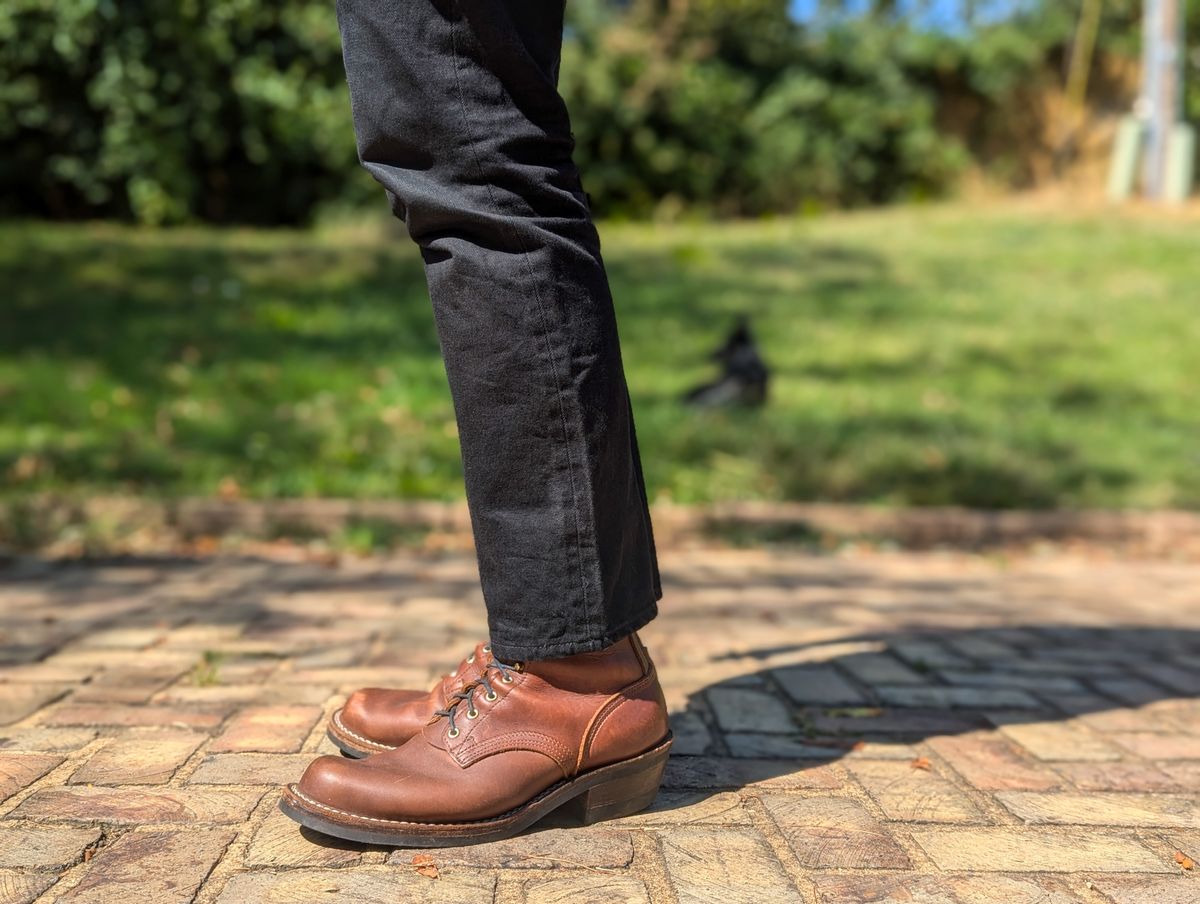 Photo by demo on September 4, 2024 of the Nicks Robert in Seidel 1964 Brown.