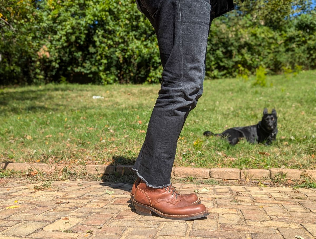 Photo by demo on October 2, 2024 of the Nicks Robert in Seidel 1964 Brown.