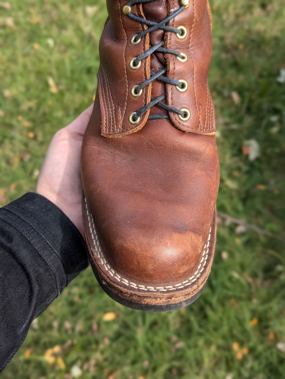 Photo by demo on October 14, 2024 of the Nicks Robert in Seidel 1964 Brown.
