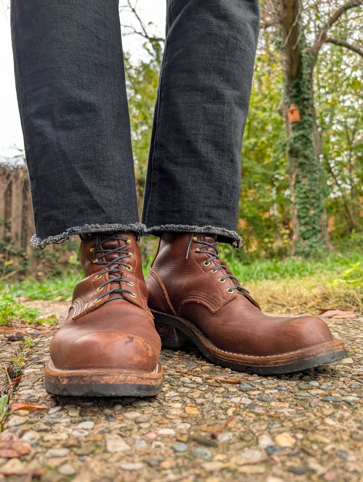 Photo by demo on November 14, 2024 of the Nicks Robert in Seidel 1964 Brown.