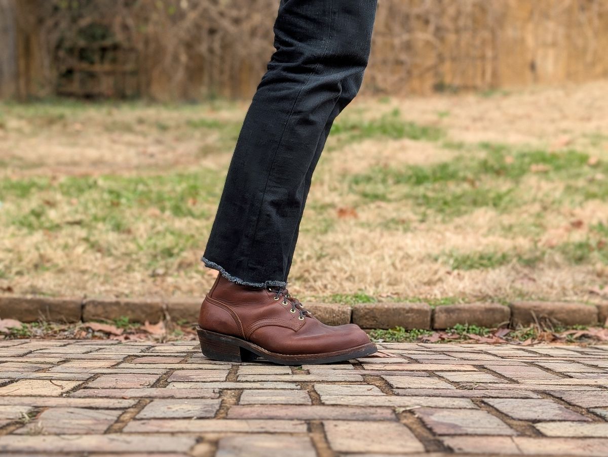 Photo by demo on December 9, 2024 of the Nicks Robert in Seidel 1964 Brown.