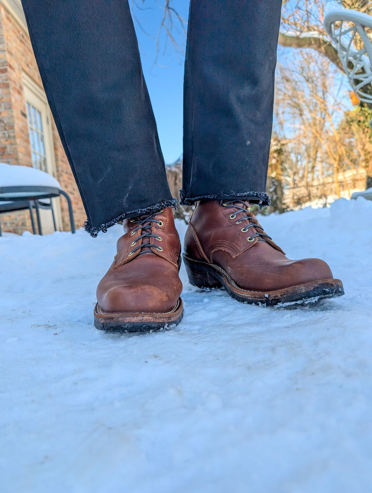 Photo by demo on January 8, 2025 of the Nicks Robert in Seidel 1964 Brown.