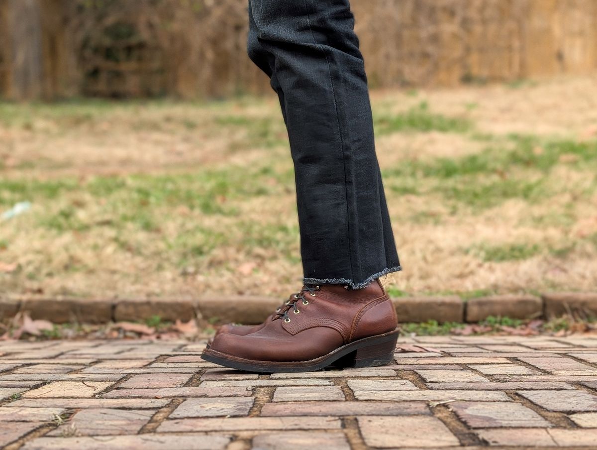 Photo by demo on December 9, 2024 of the Nicks Robert in Seidel 1964 Brown.