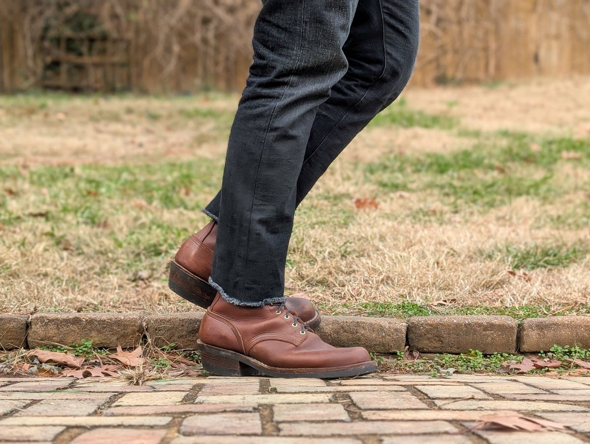 Photo by demo on December 9, 2024 of the Nicks Robert in Seidel 1964 Brown.