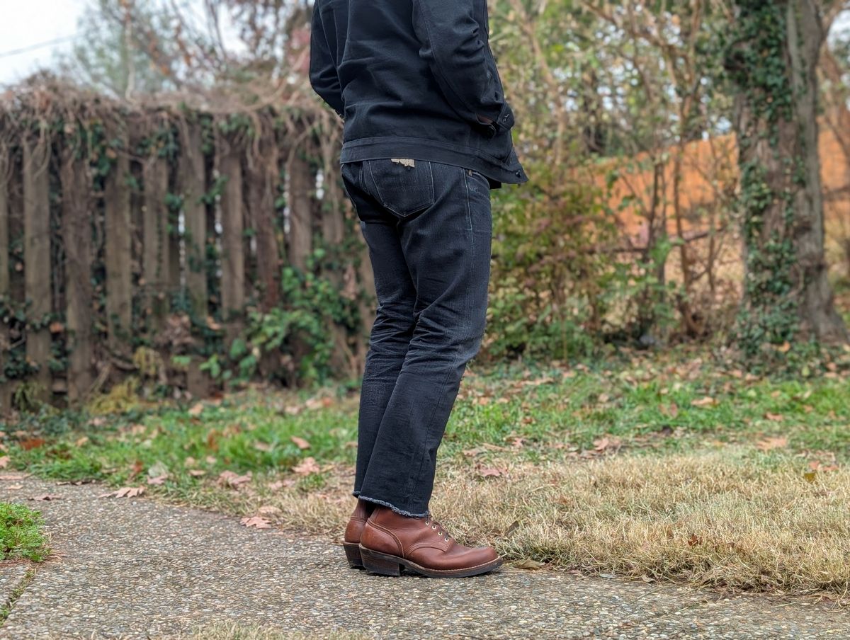 Photo by demo on December 9, 2024 of the Nicks Robert in Seidel 1964 Brown.