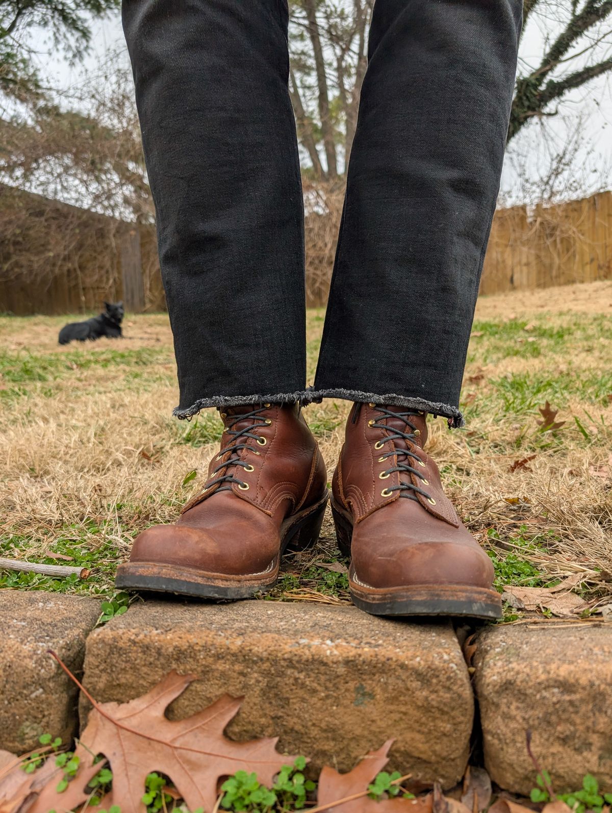 Photo by demo on December 9, 2024 of the Nicks Robert in Seidel 1964 Brown.