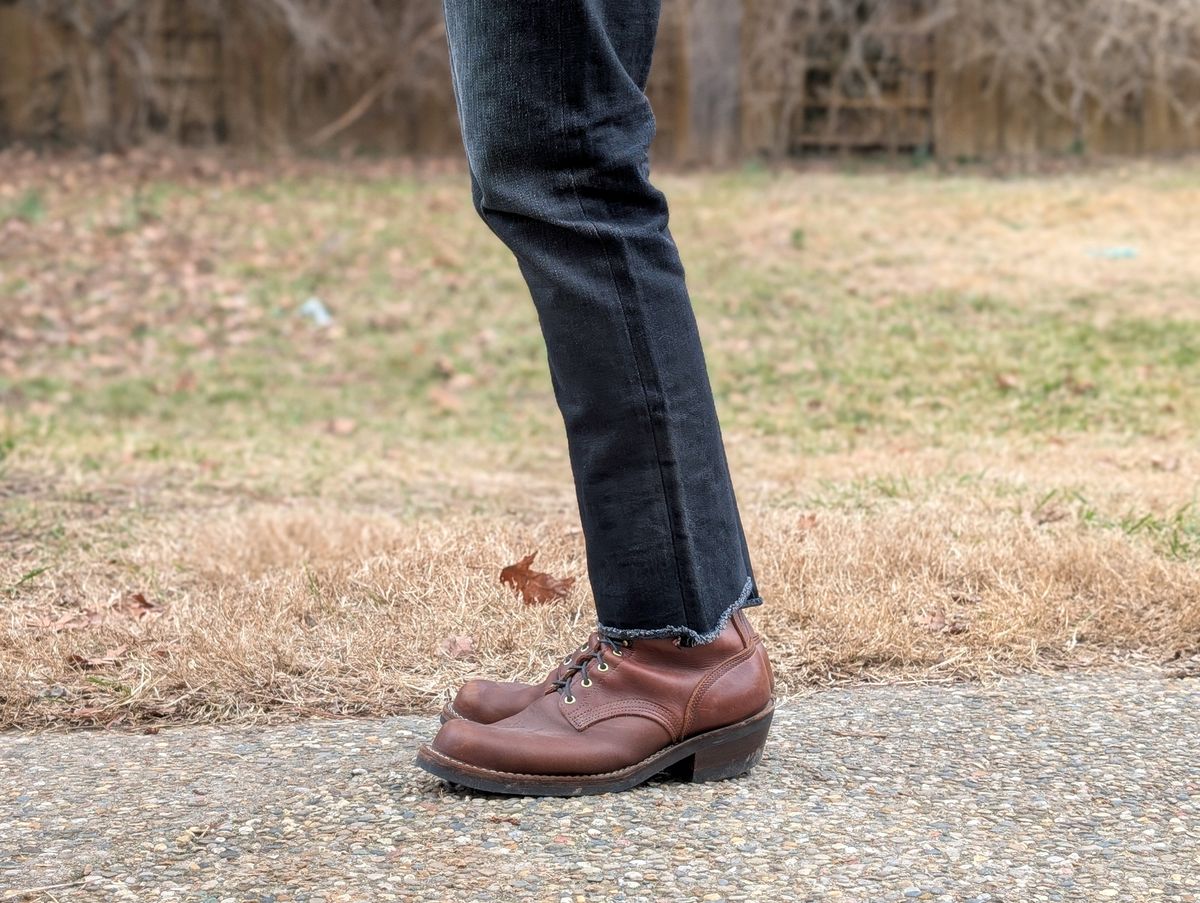 Photo by demo on February 11, 2025 of the Nicks Robert in Seidel 1964 Brown.