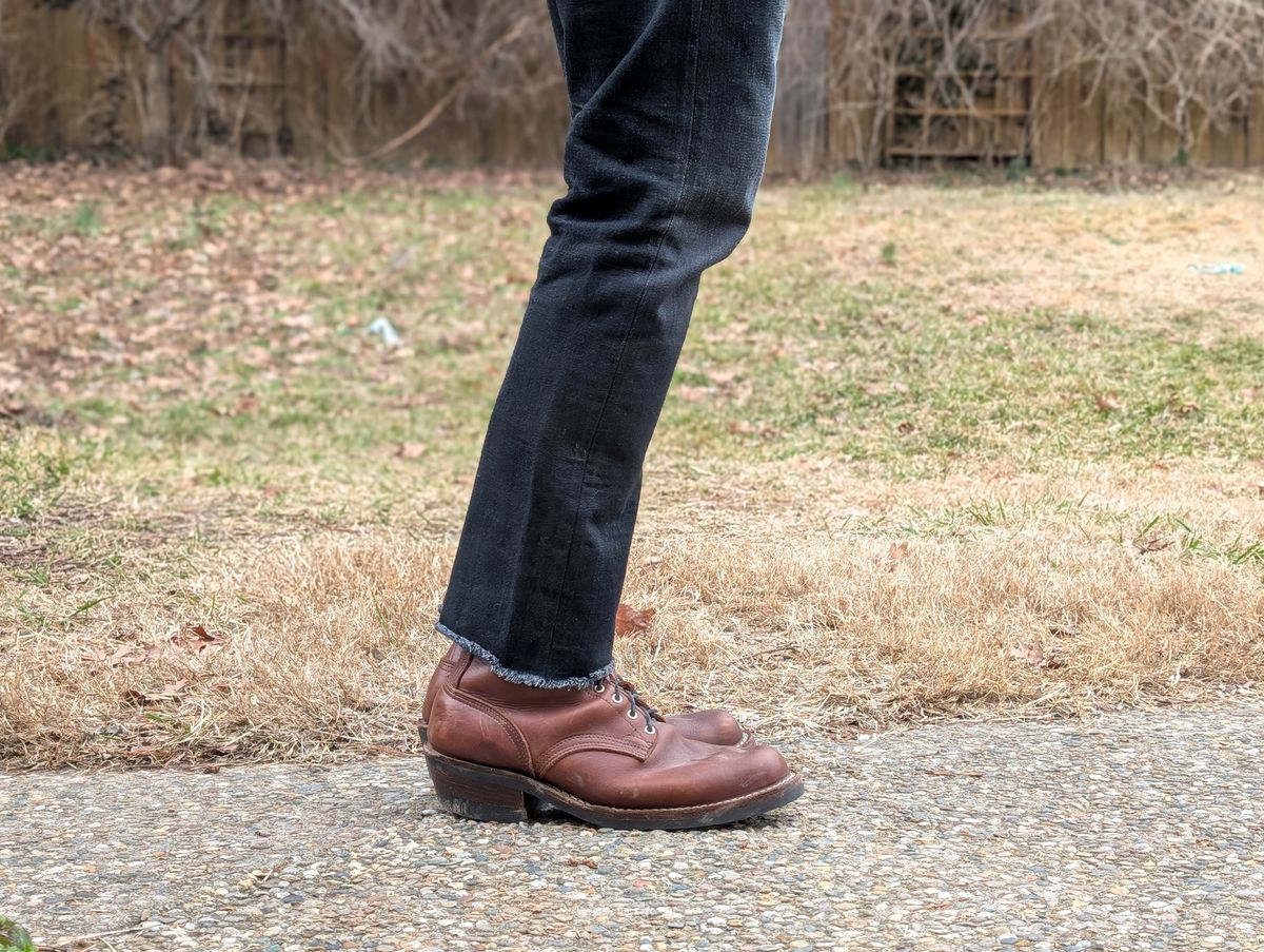 Photo by demo on February 11, 2025 of the Nicks Robert in Seidel 1964 Brown.