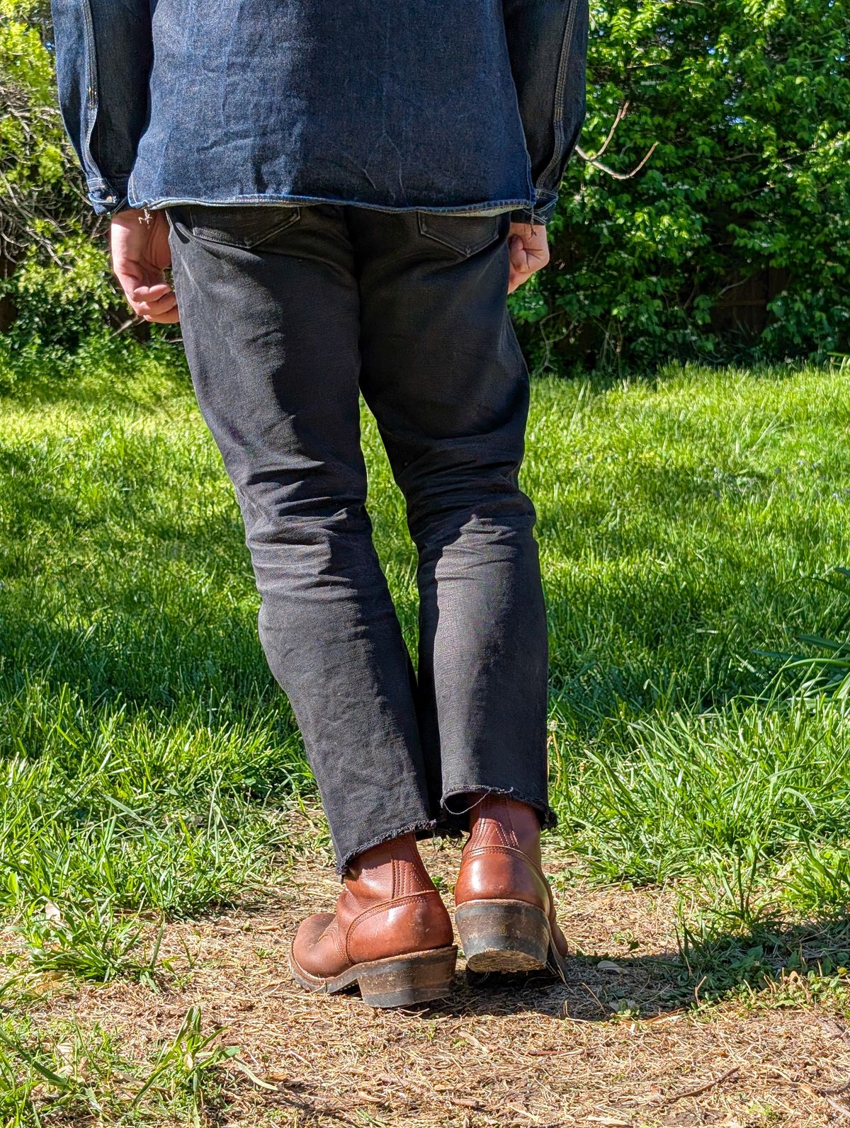 Photo by demo on April 21, 2025 of the Nicks Robert in Seidel 1964 Brown.