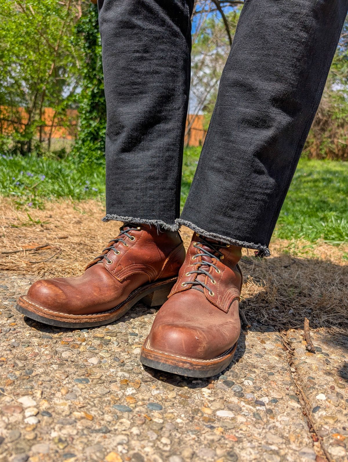 Photo by demo on March 30, 2025 of the Nicks Robert in Seidel 1964 Brown.
