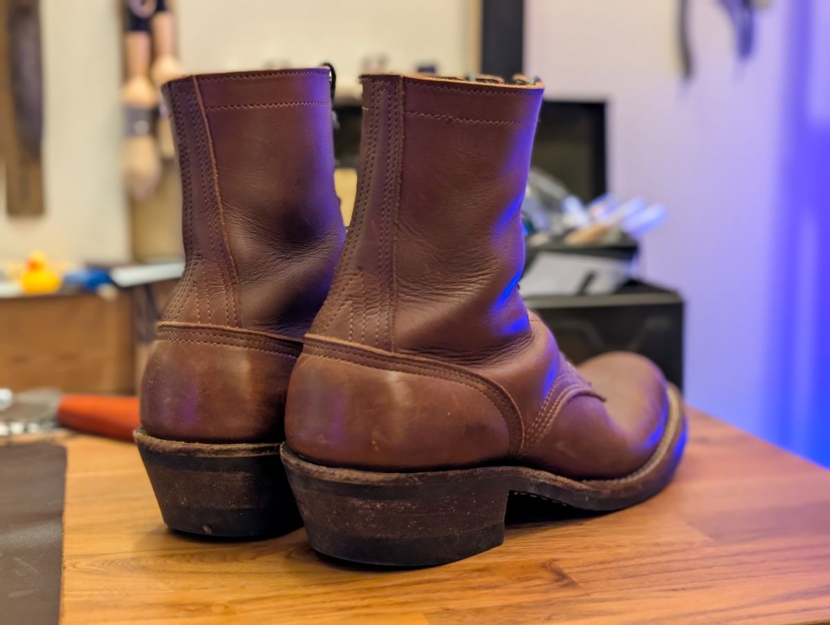 Photo by demo on December 12, 2025 of the Nicks Robert in Seidel 1964 Brown.