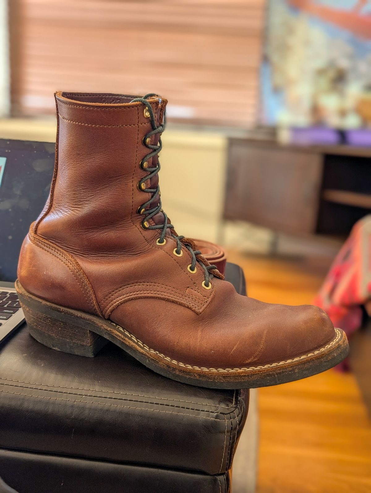 Photo by demo on November 16, 2025 of the Nicks Robert in Seidel 1964 Brown.